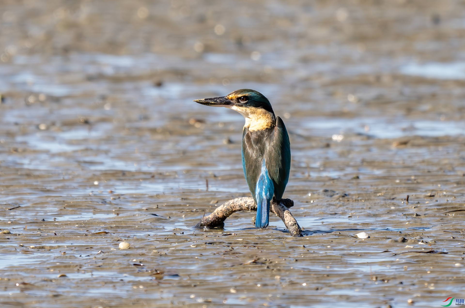 DSC_7016.jpg