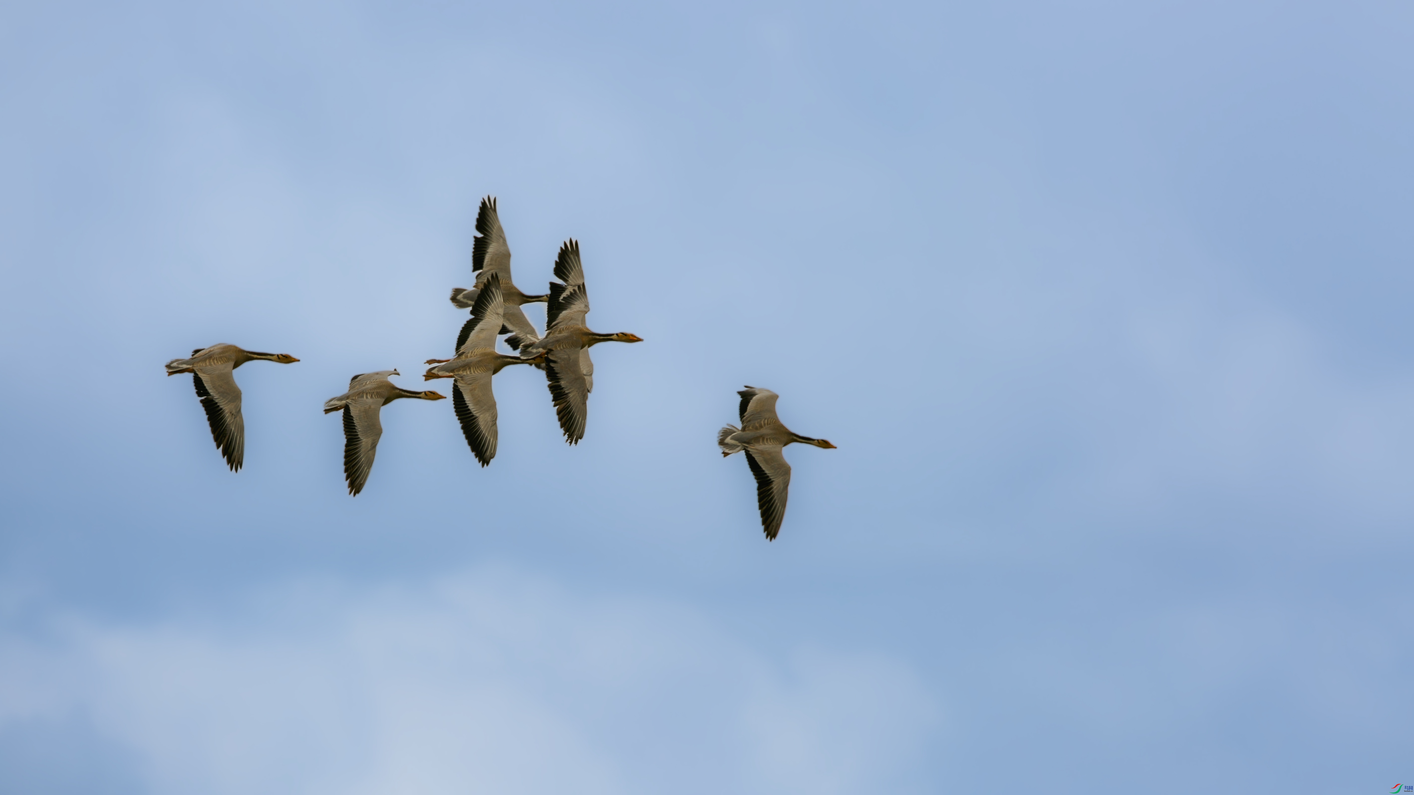 X39A3450333 ����.jpg