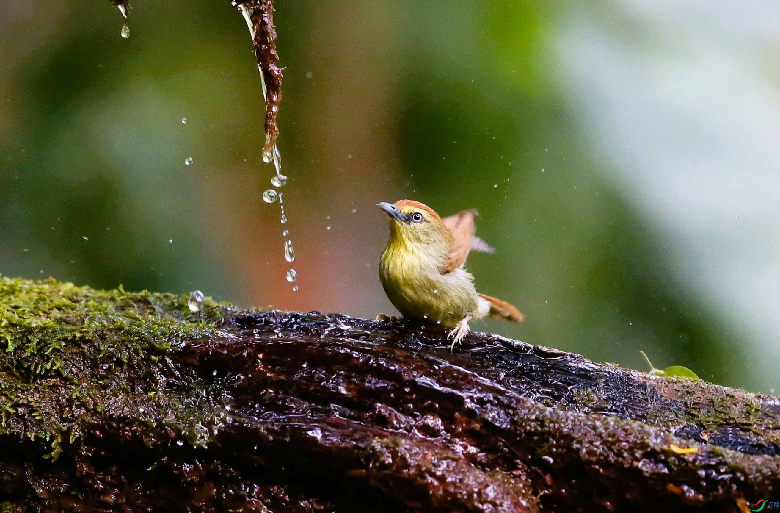 ���ؾ��� (7).JPG