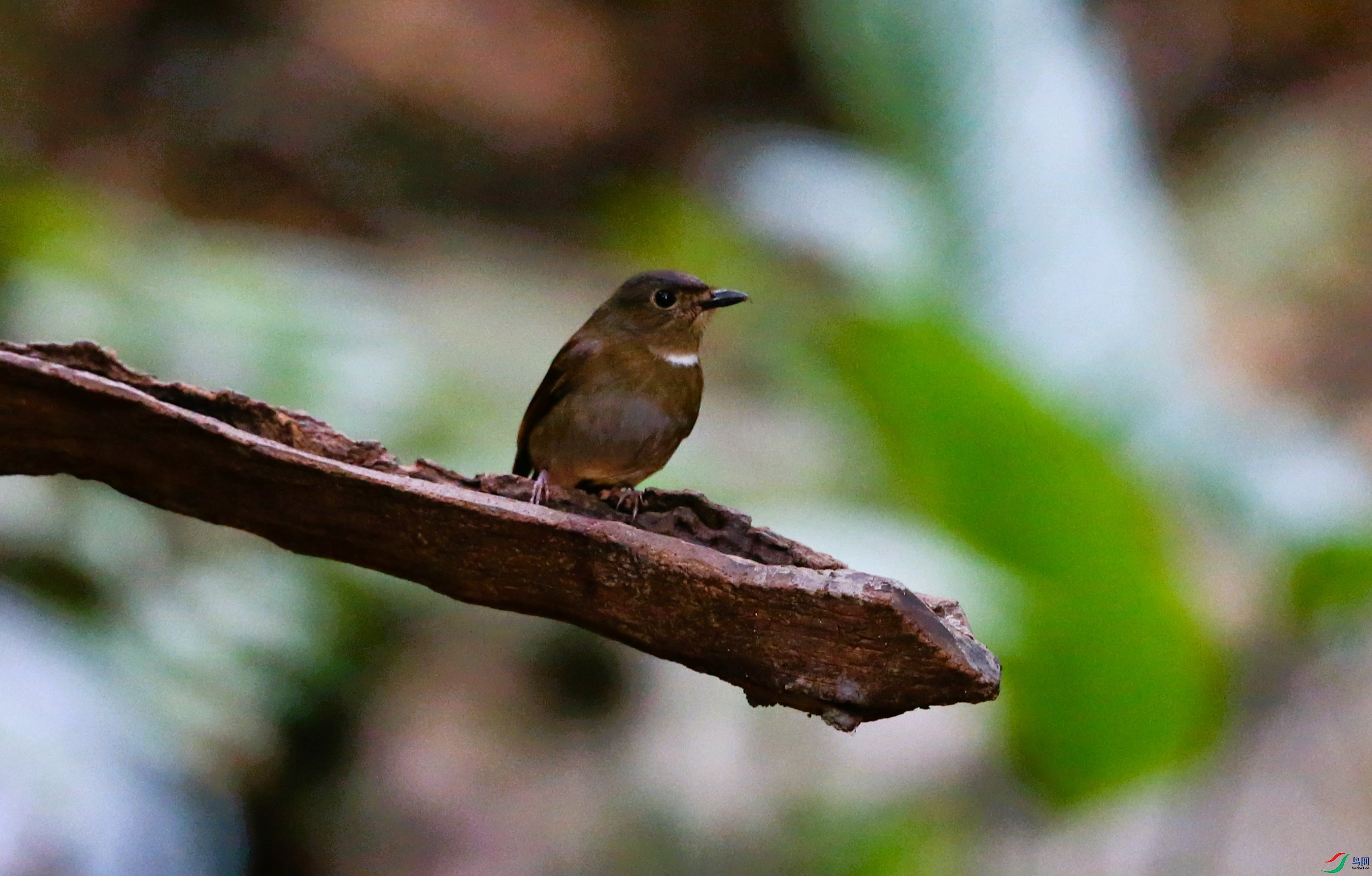 ��β����� (4).JPG