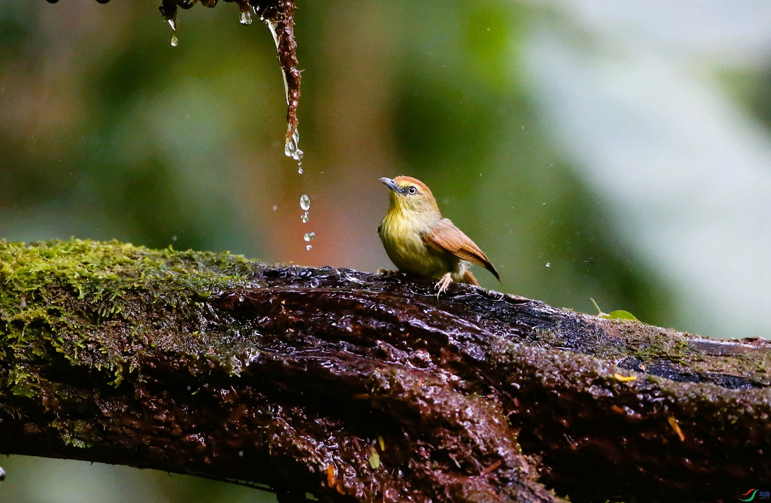 ���ؾ��� (8).JPG