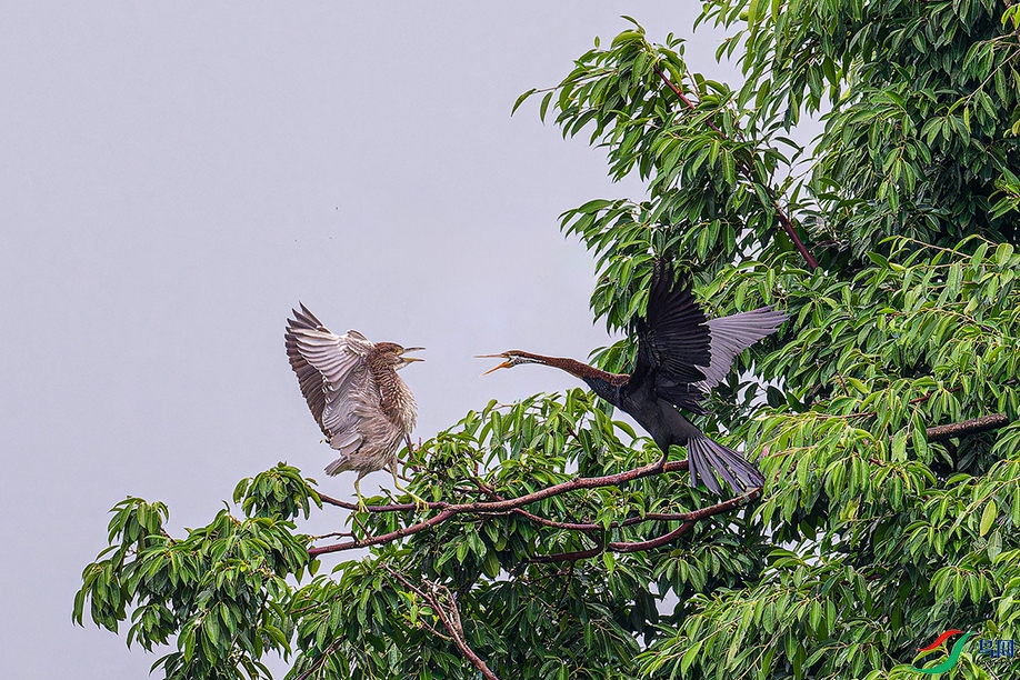 DSC_4050_DxO.jpg