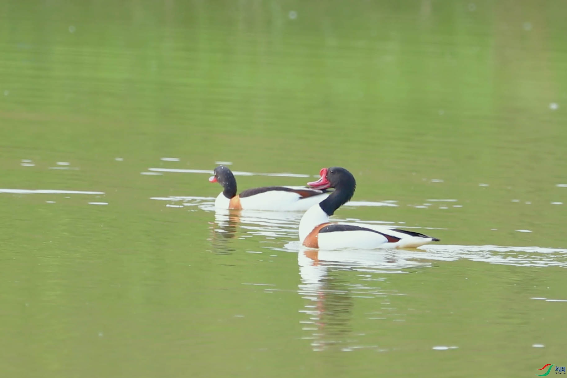 6��3�� (3)(2) ����.jpg