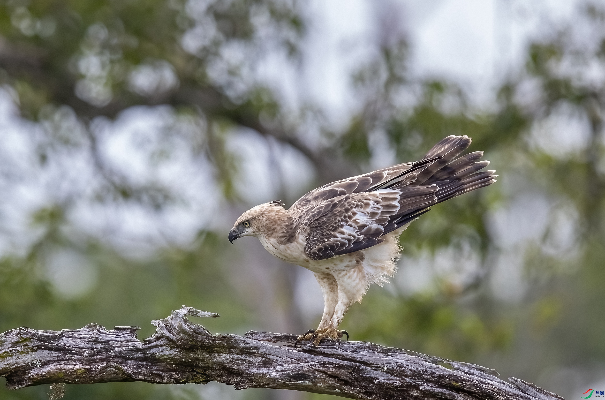 AC3I2227 ����.jpg