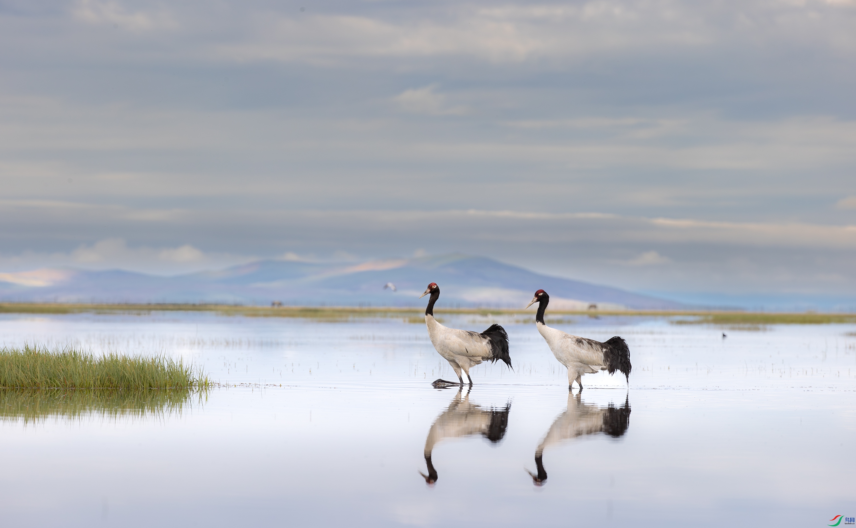 A15I3267- ����.jpg