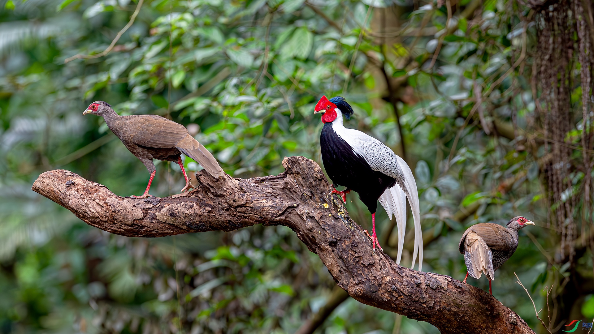DSC_7812.jpg