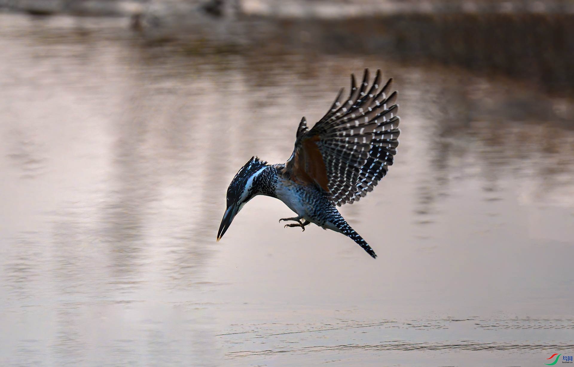 DSC_2201.jpg