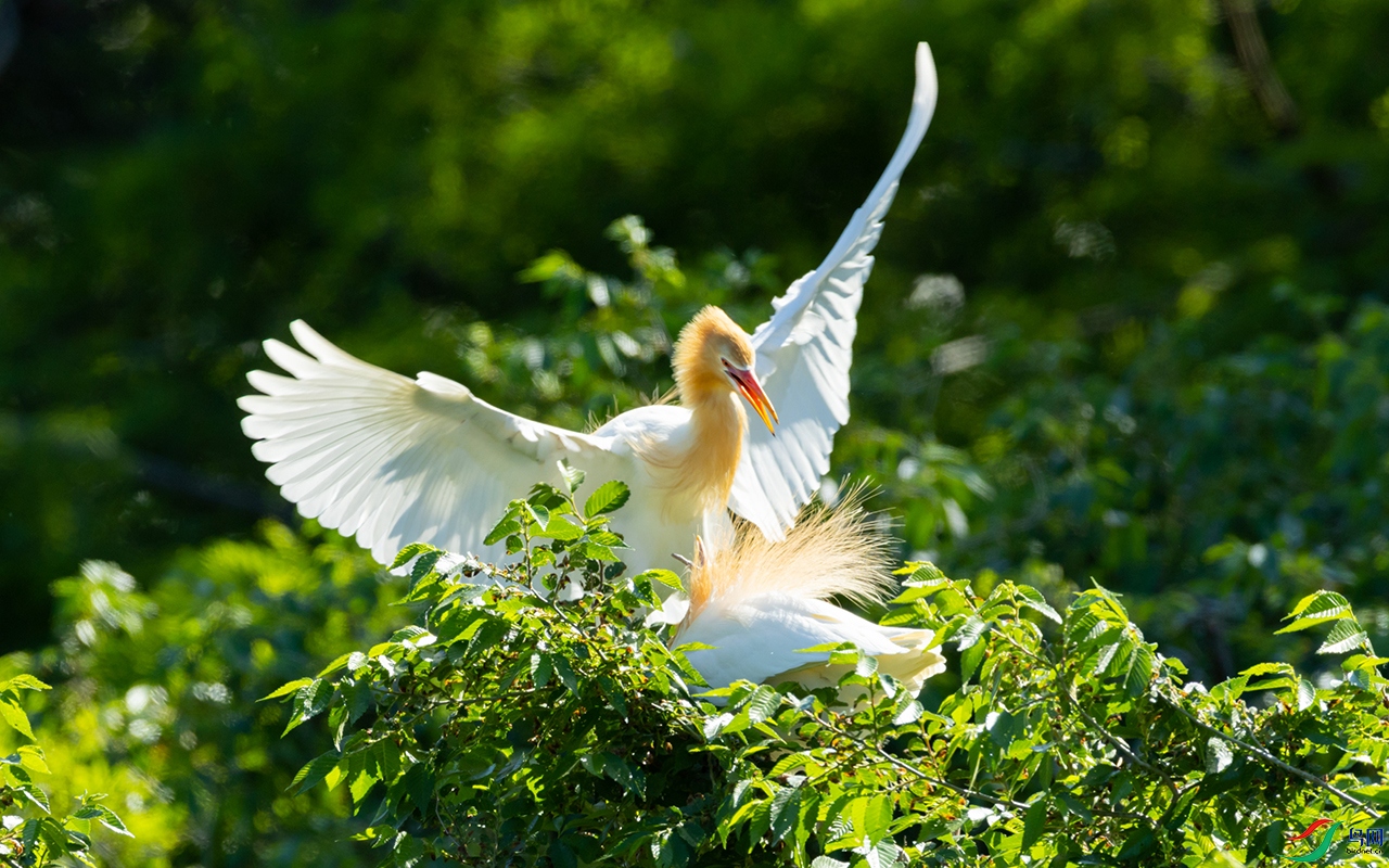 441_���� ����.jpg