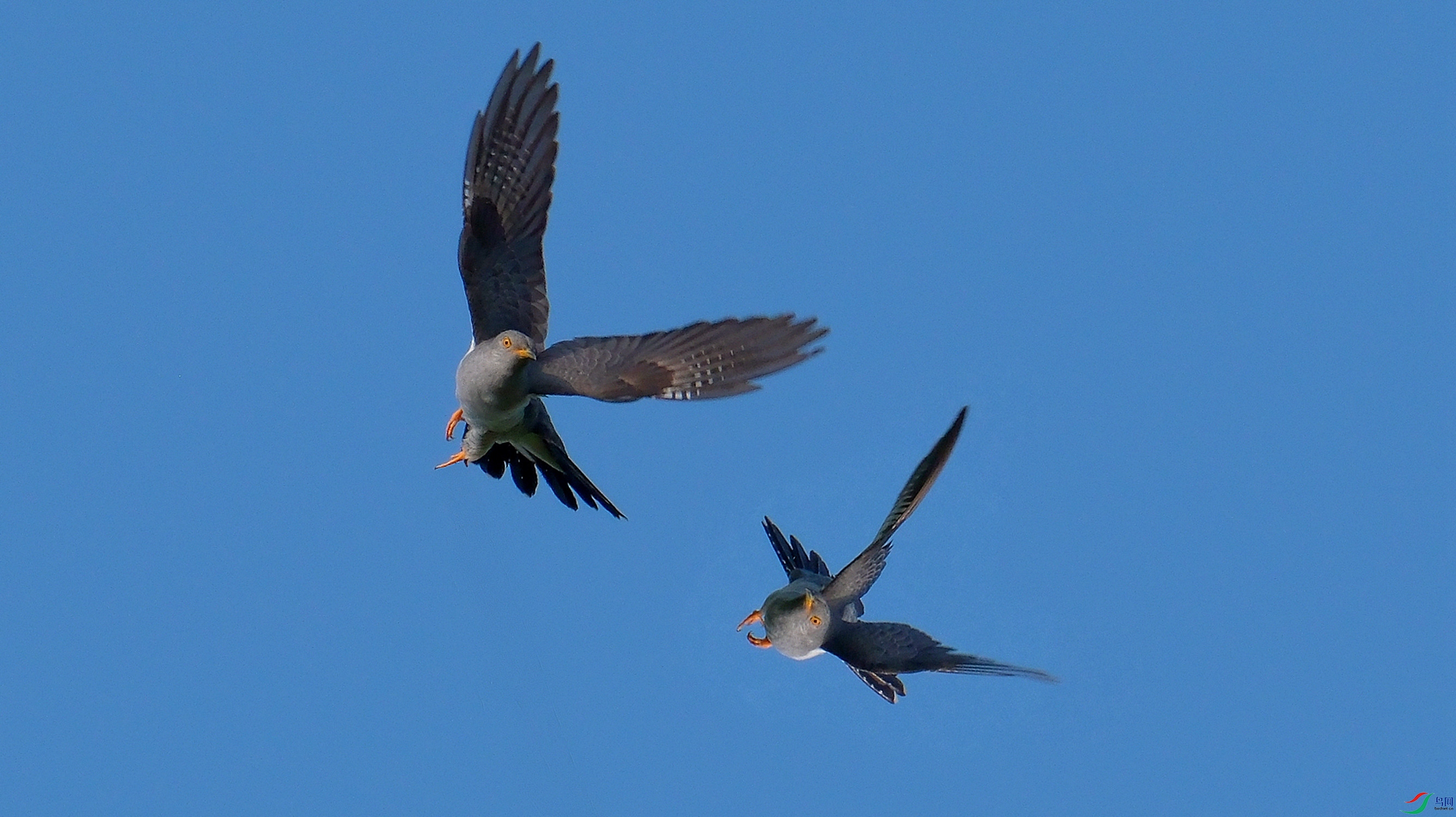 DSCF8909-3.jpg