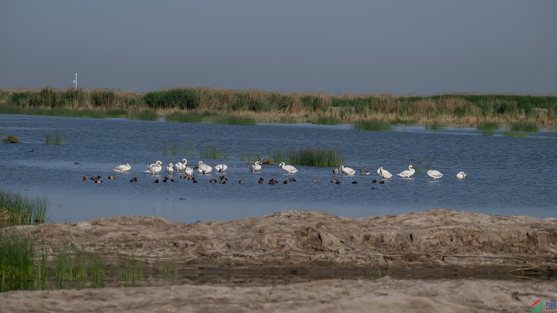 DSC_2067.jpg