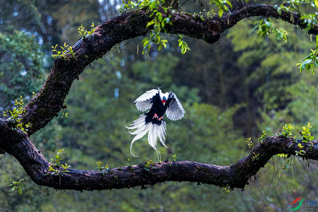 fjyaR230327 (878)_DxO.jpg