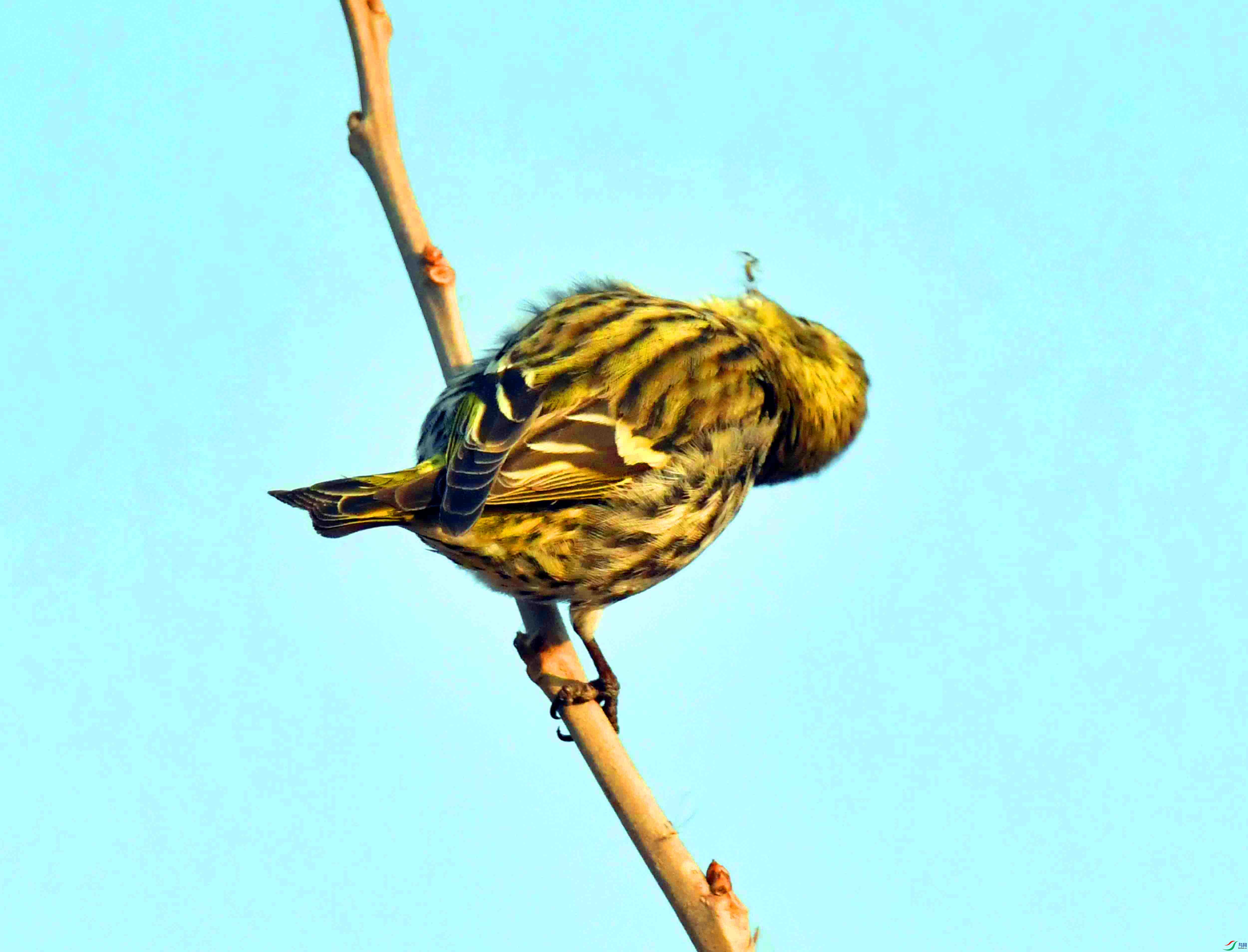 DSC_4541.JPG
