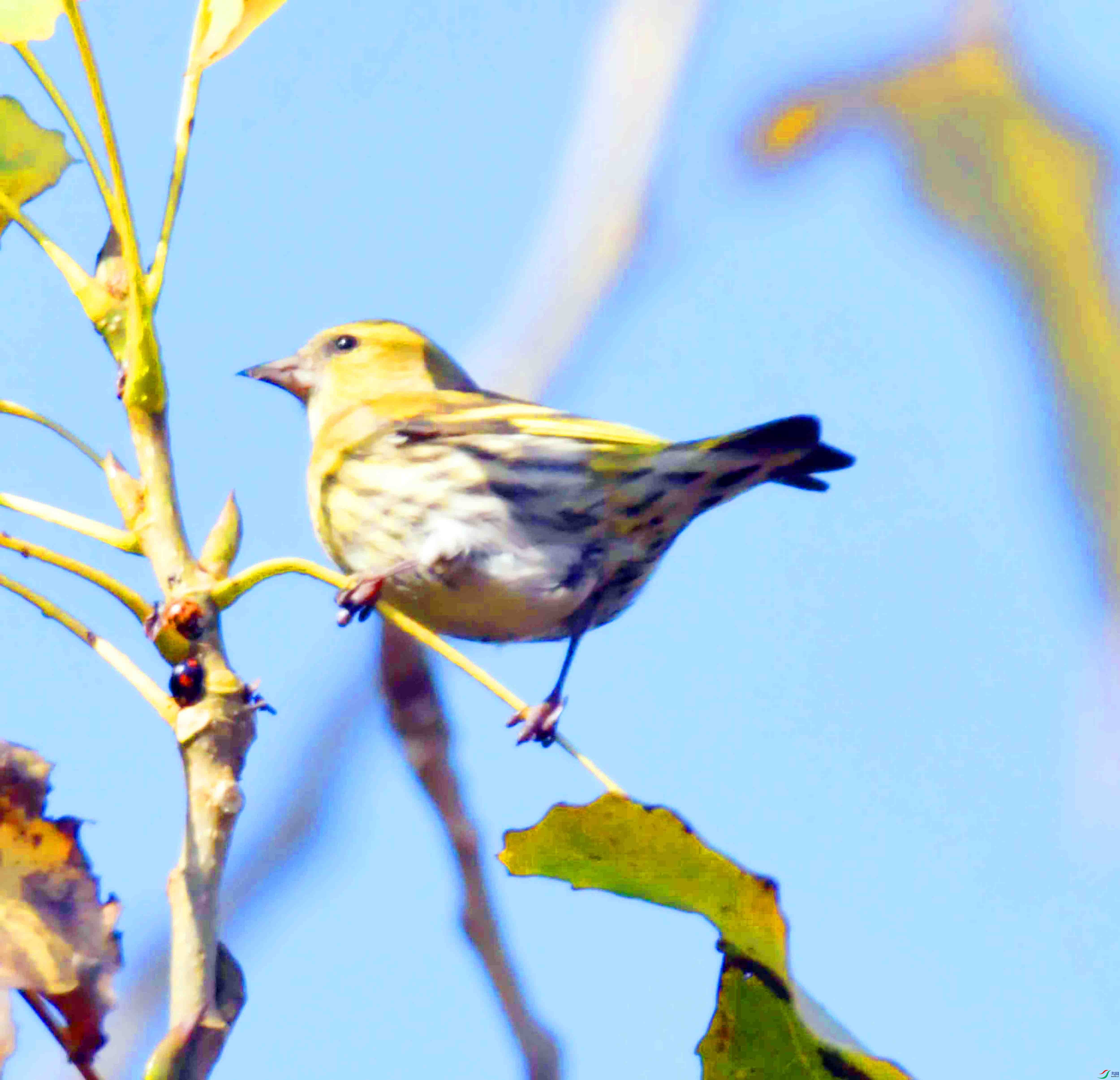 DSC_6187.JPG