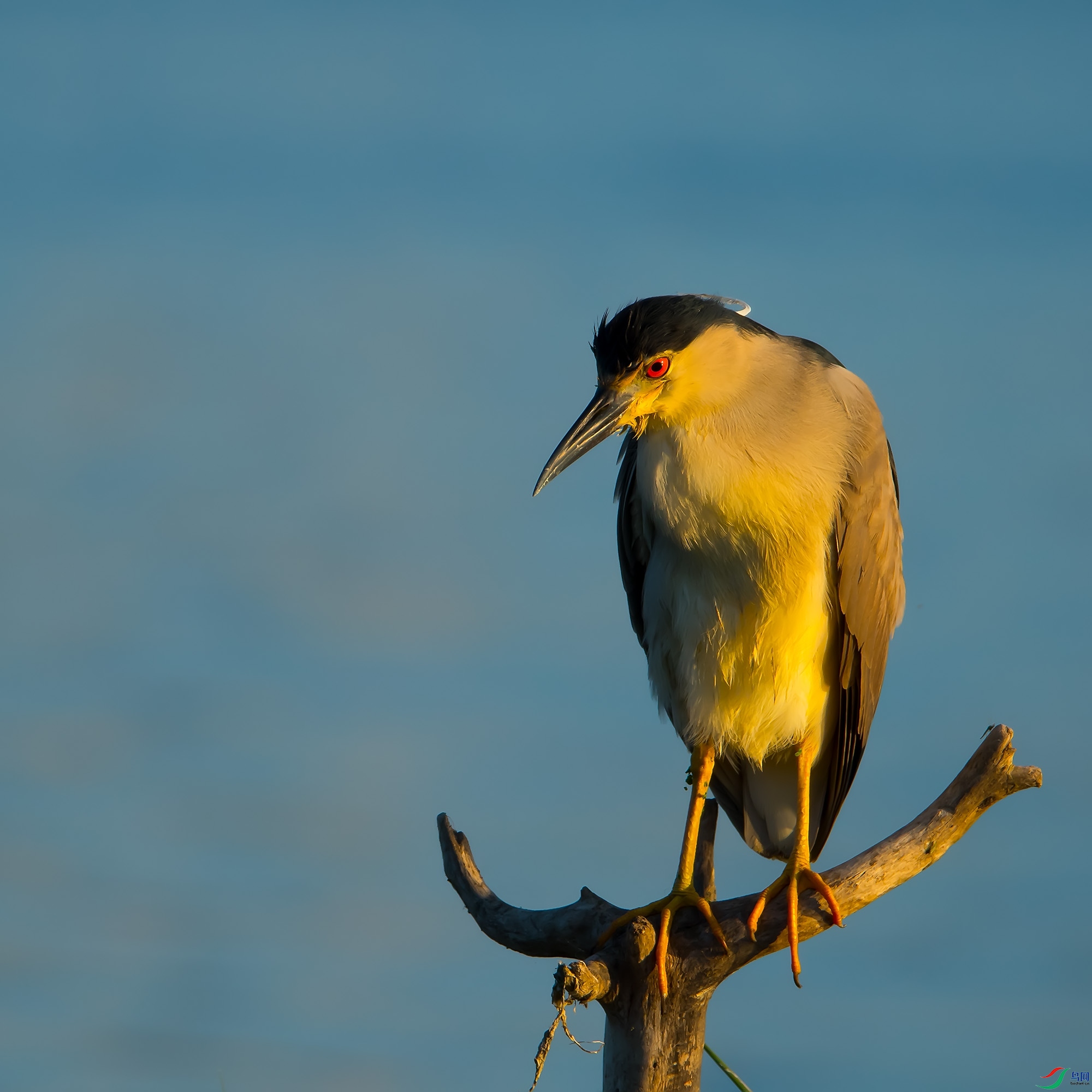 DSC_5390.jpg