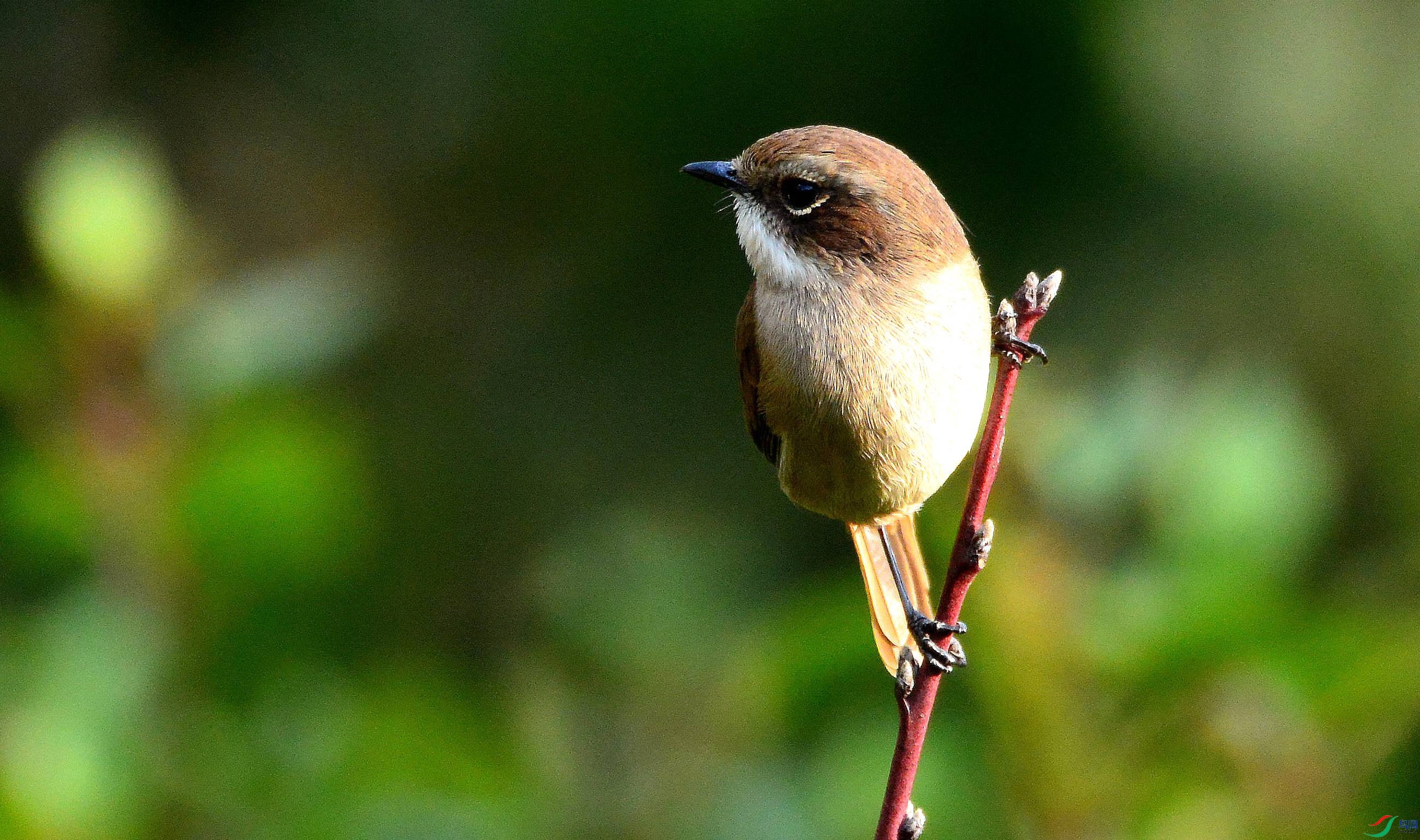 DSC_6116.JPG