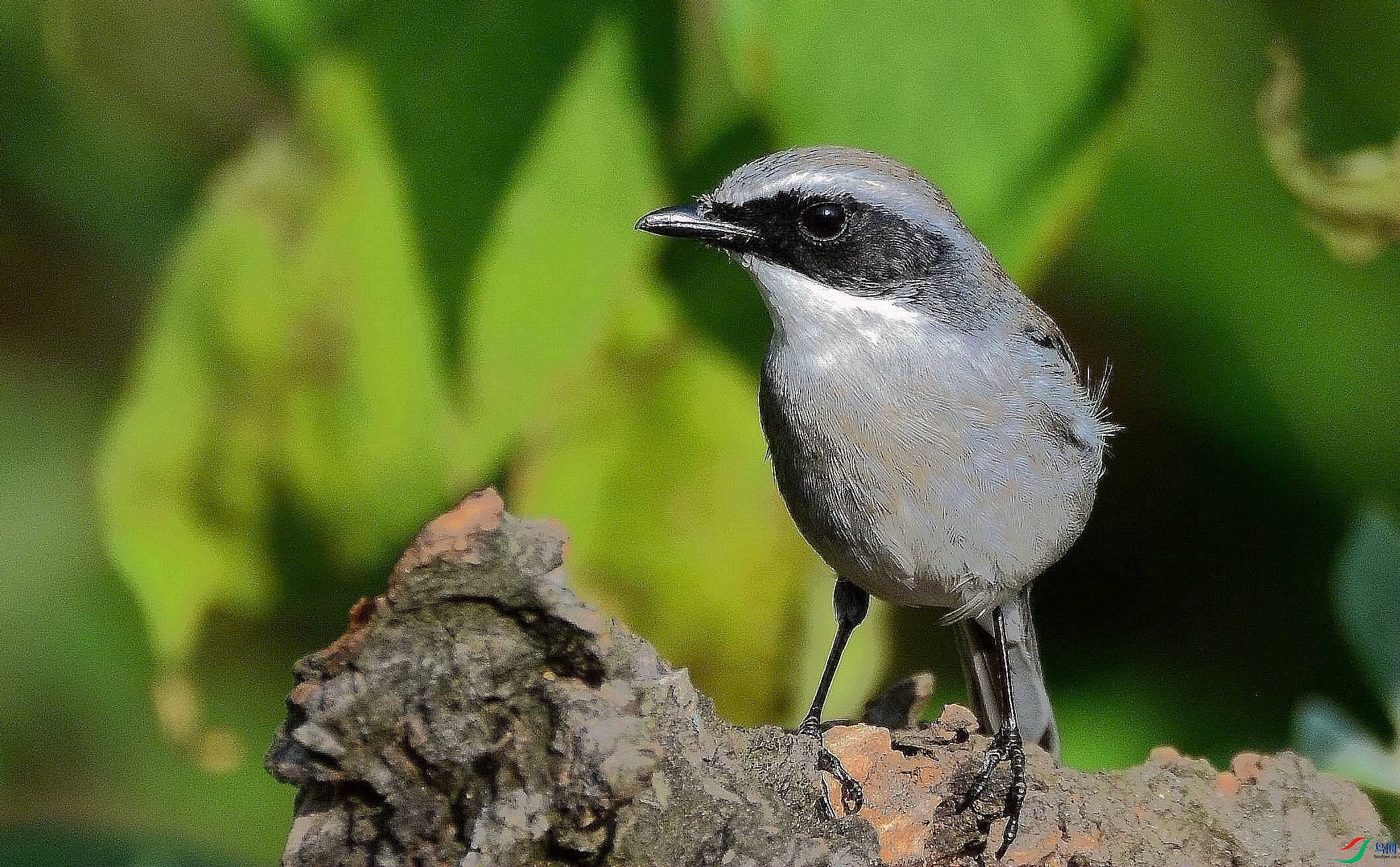 DSC_6543.JPG