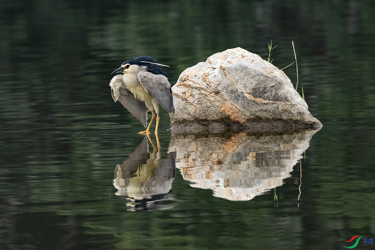 _DSC2353-.jpg