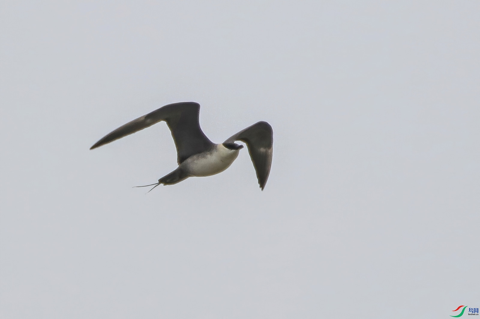 200927osyk5io65sg696y6-001-denoise-001.jpg