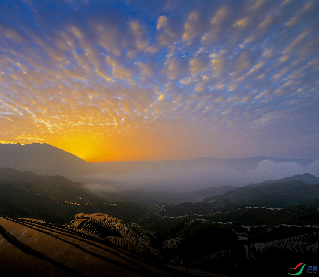 _DSC2908-2-2-1.jpg