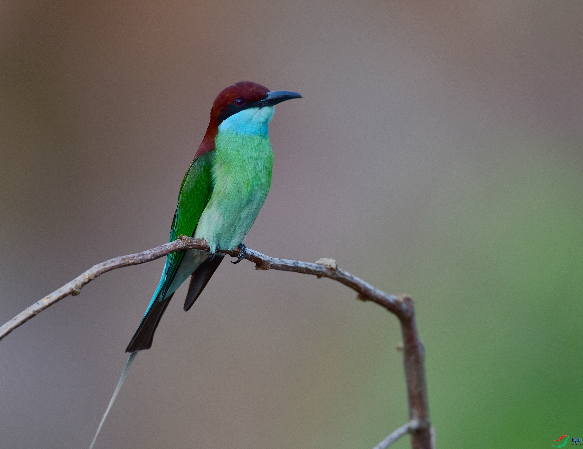 D8I_2399.jpg