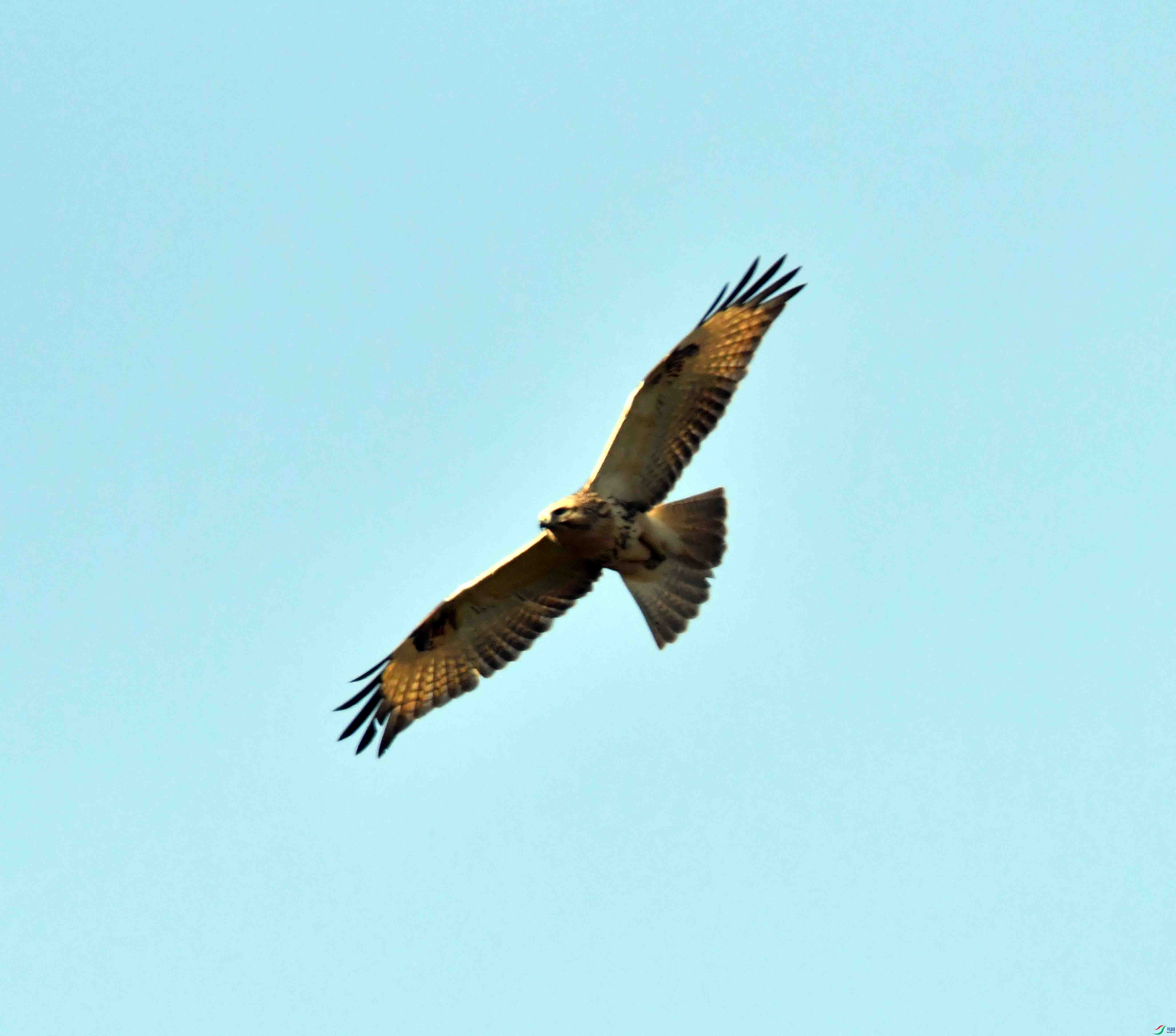 DSC_0555.JPG