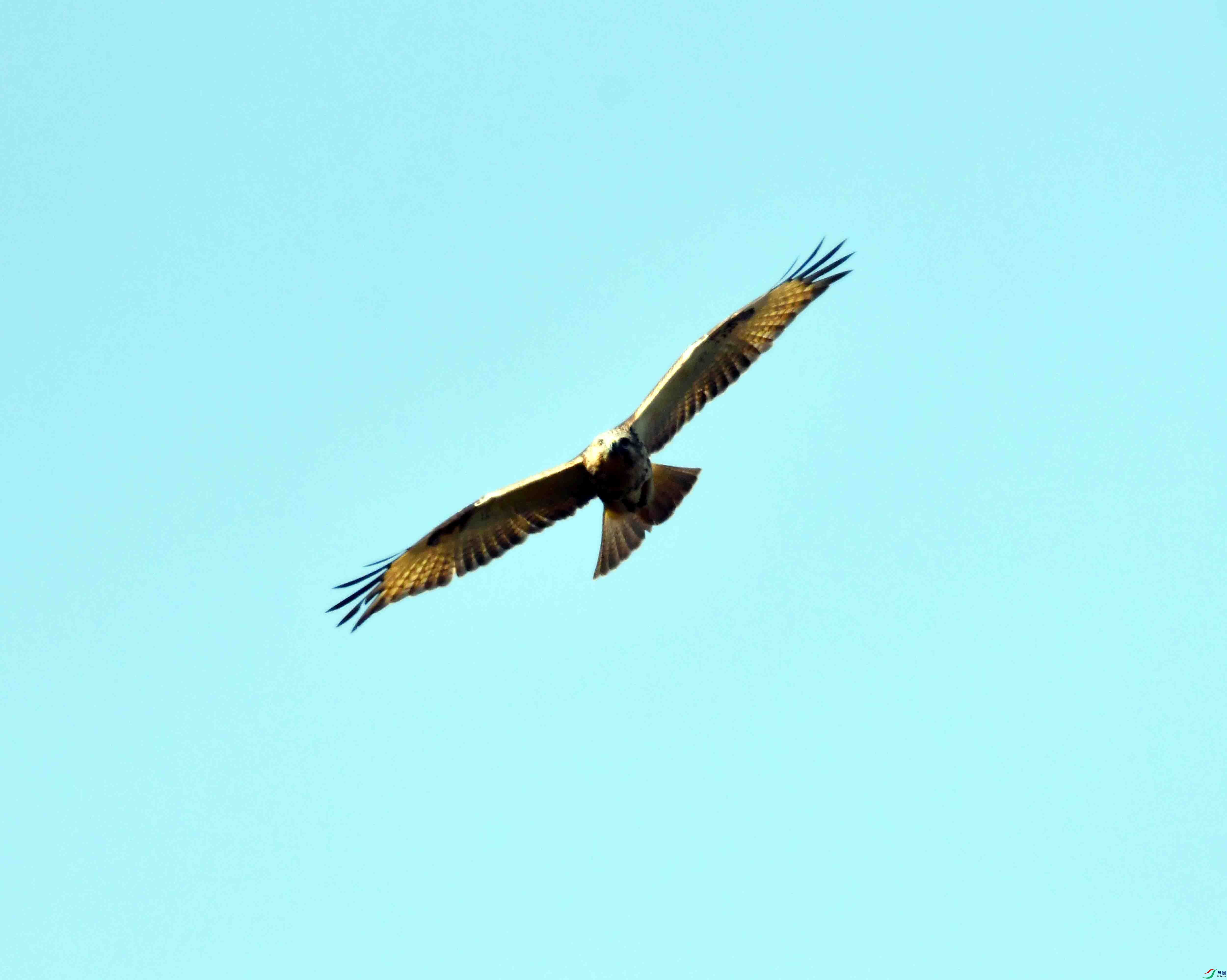 DSC_0554.JPG