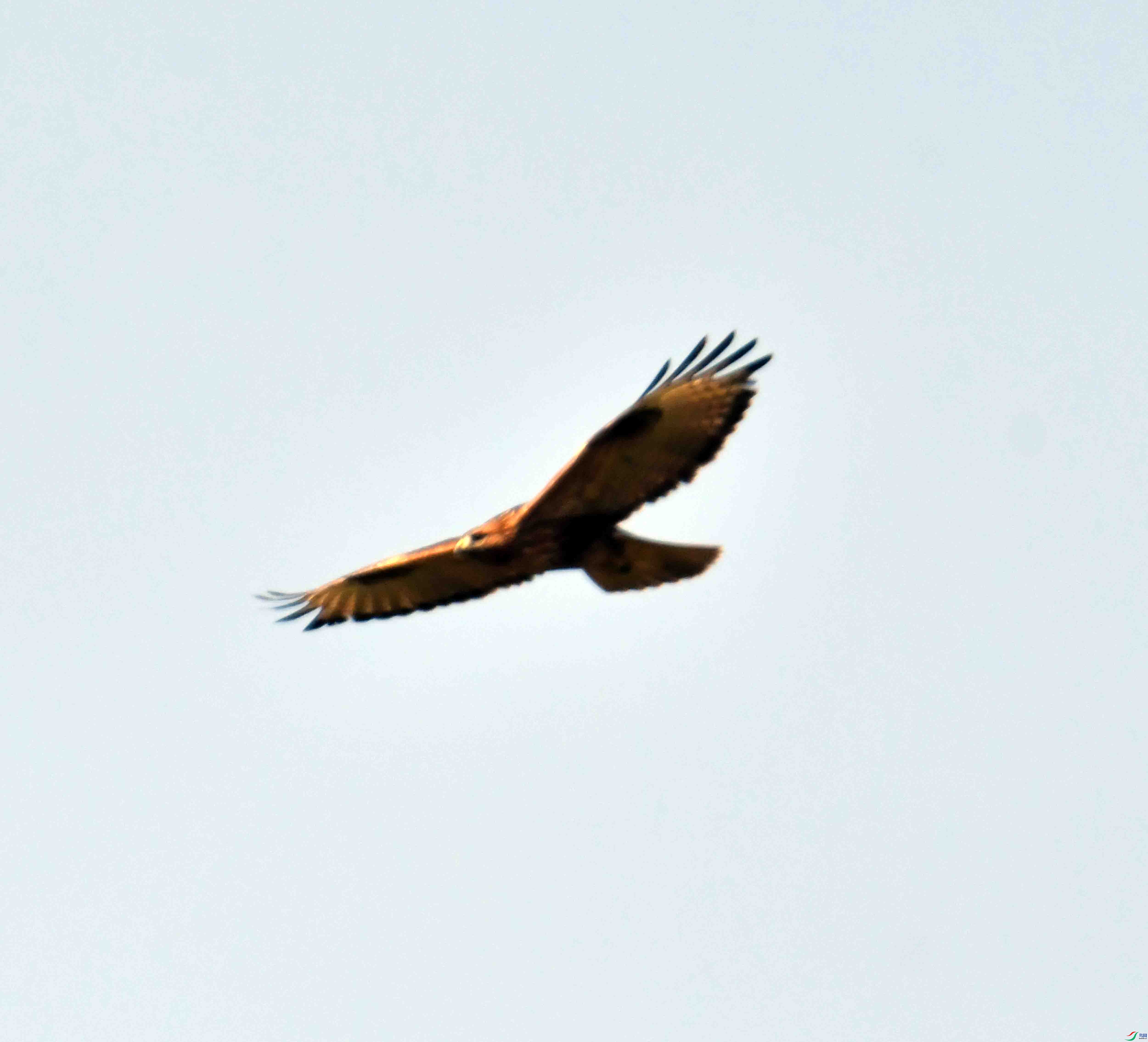 DSC_0565.JPG