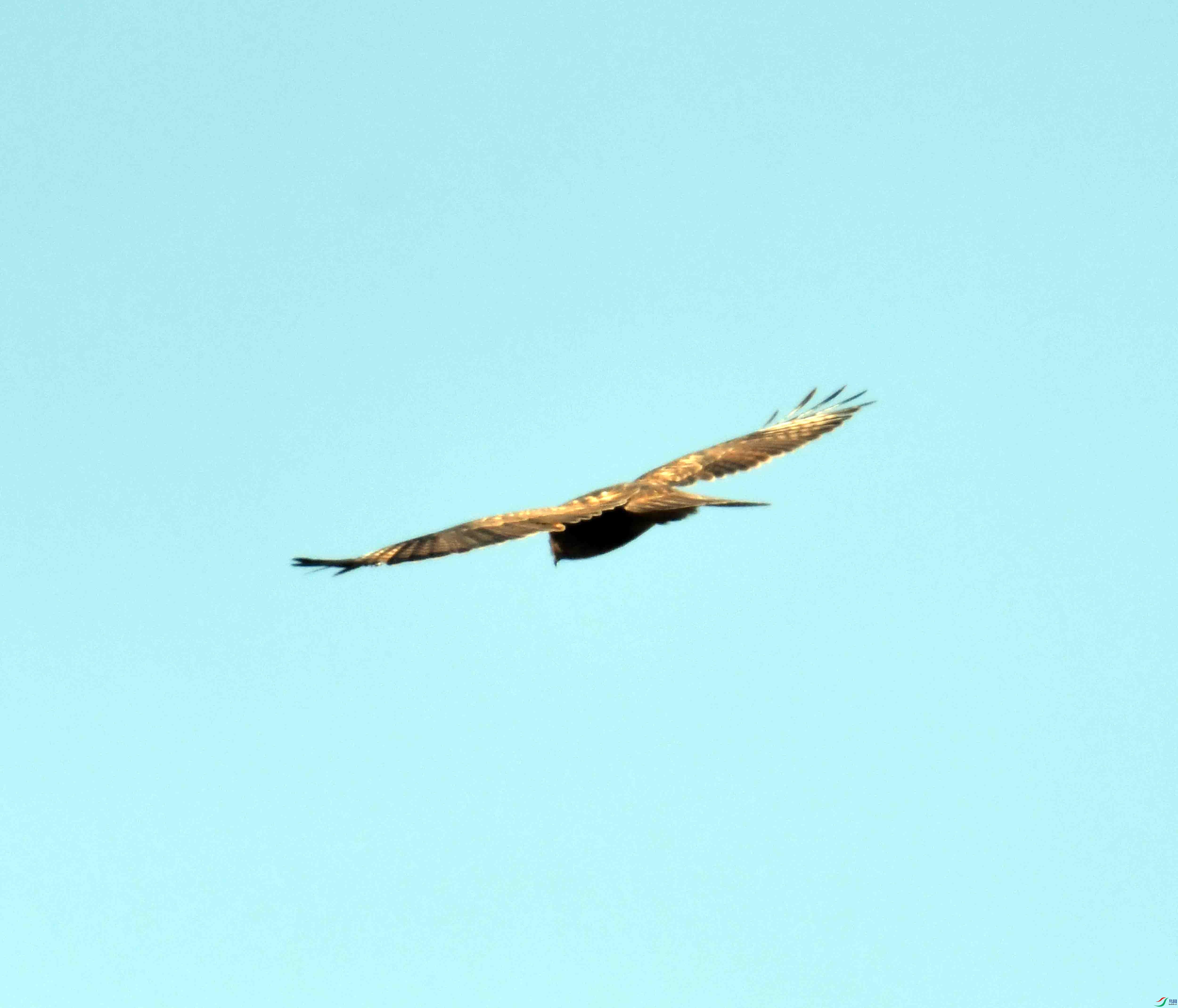 DSC_0574.JPG