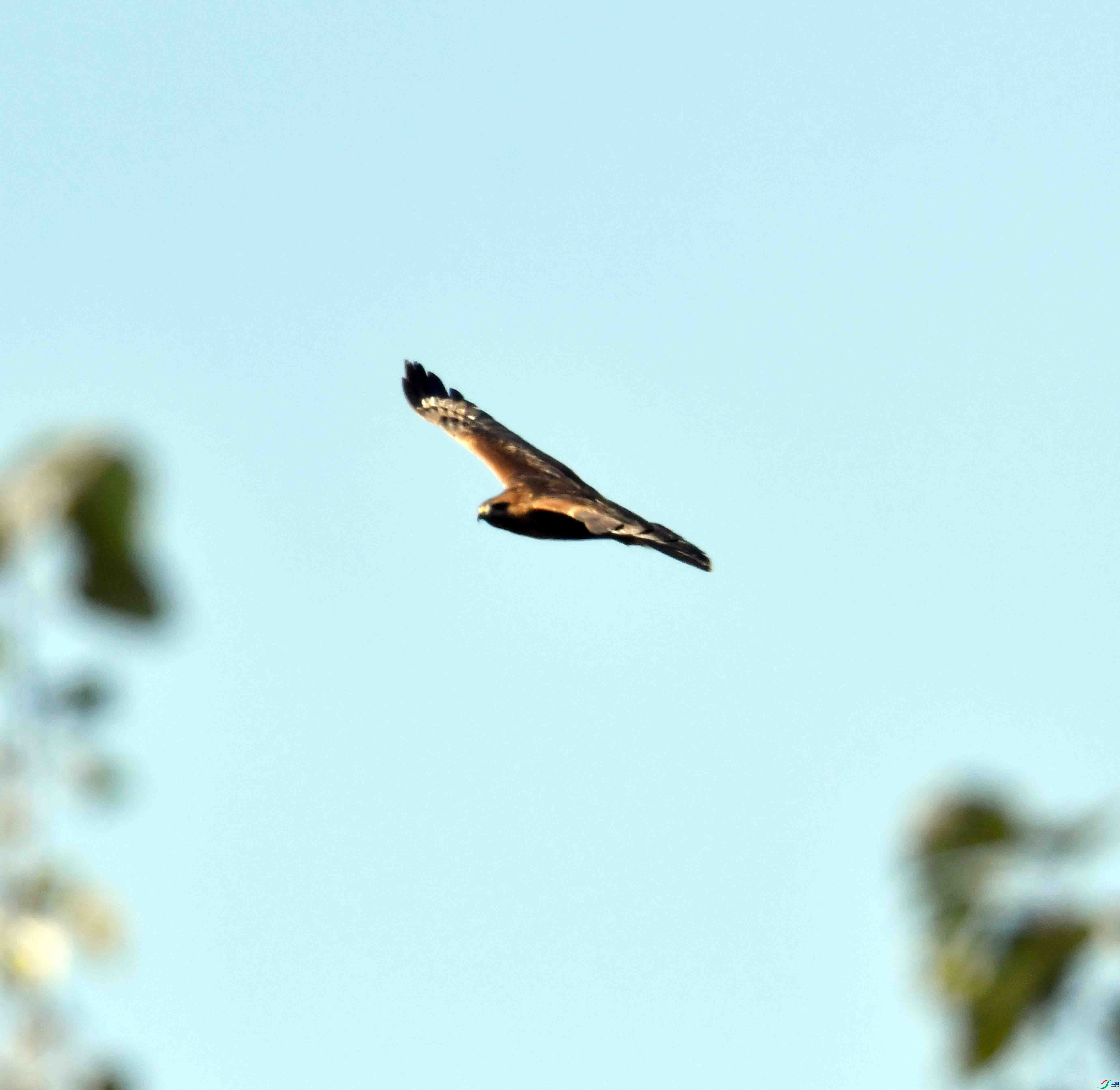 DSC_0576.JPG