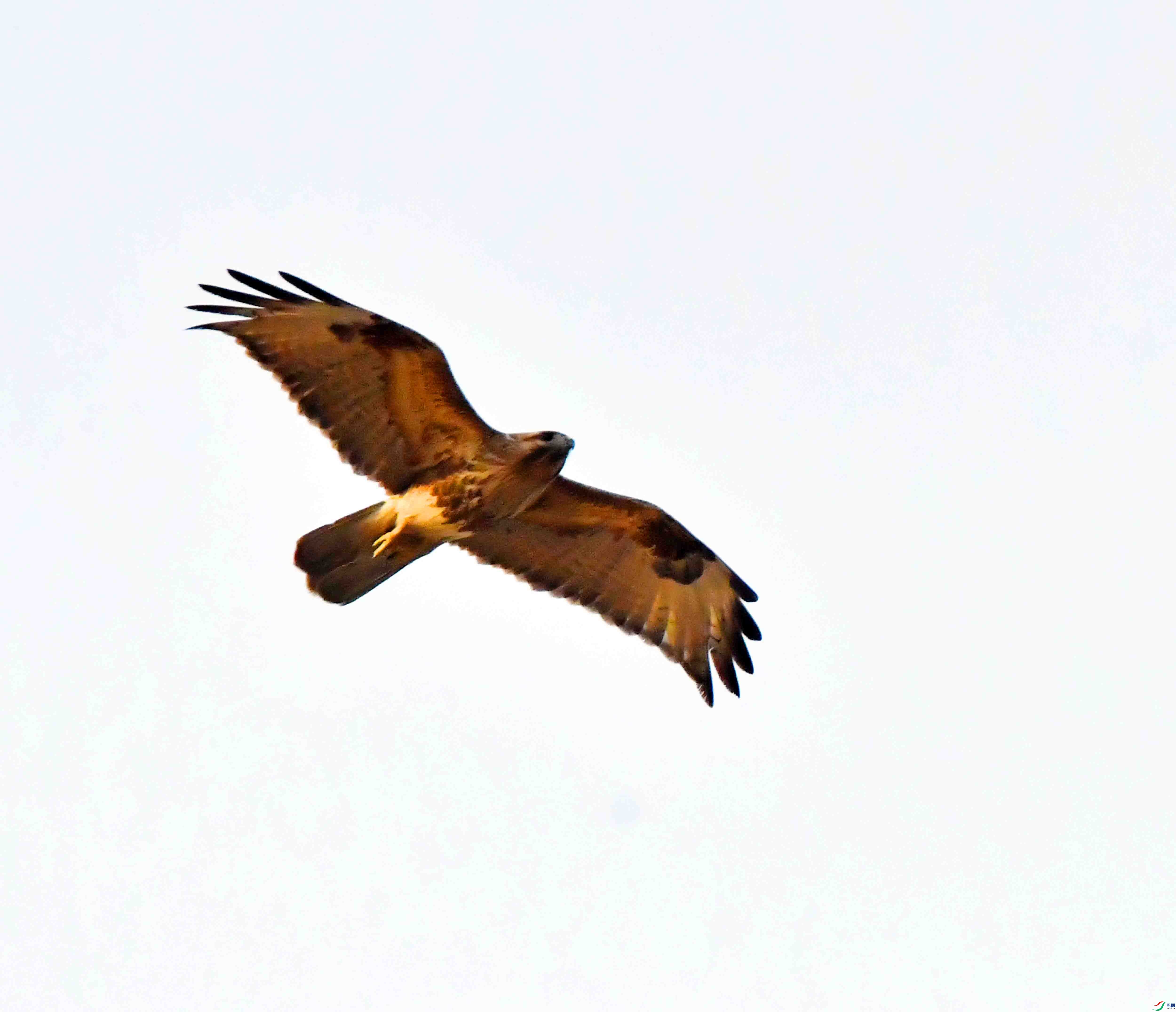 DSC_2701.JPG