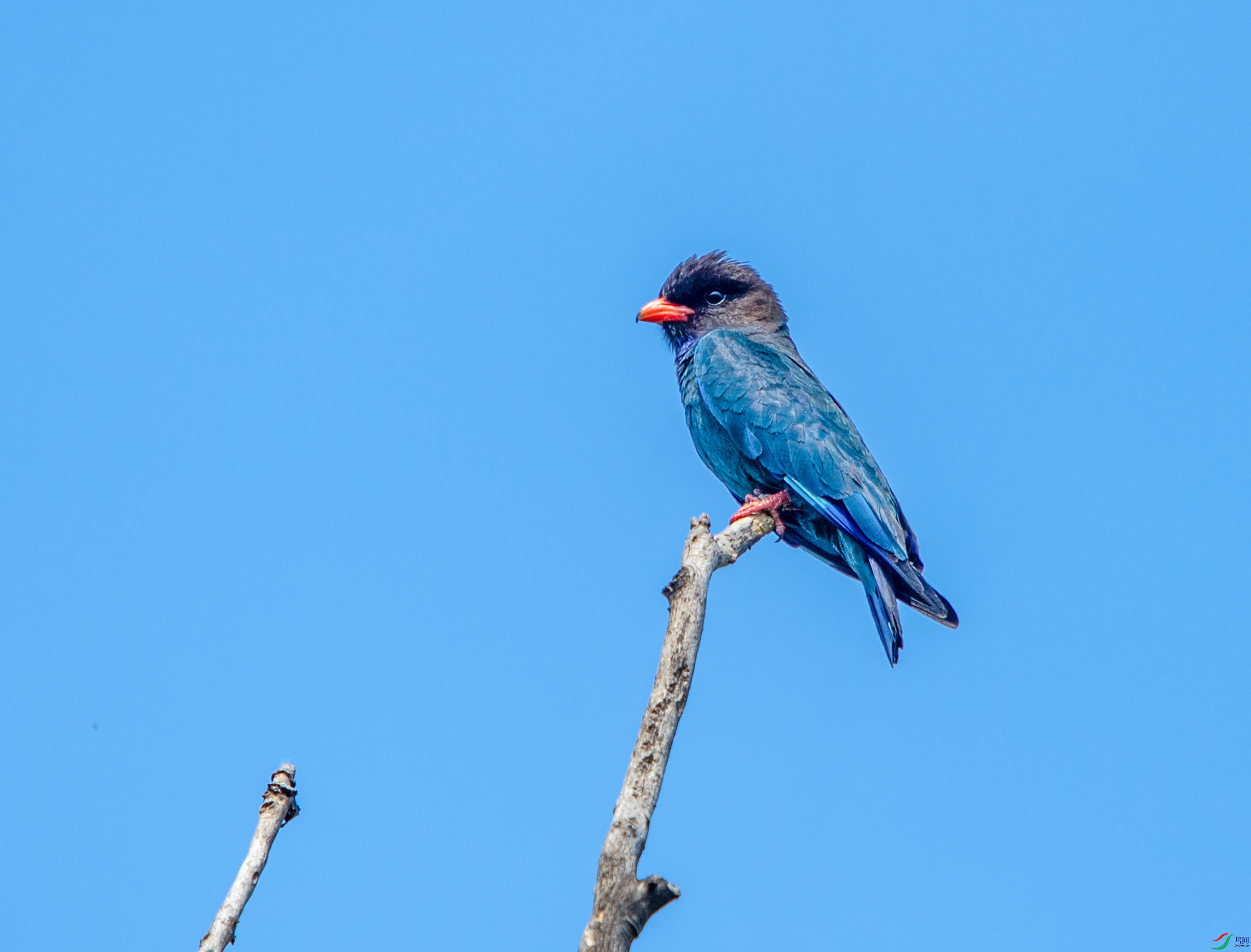 DSC_2245 --����--8.jpg