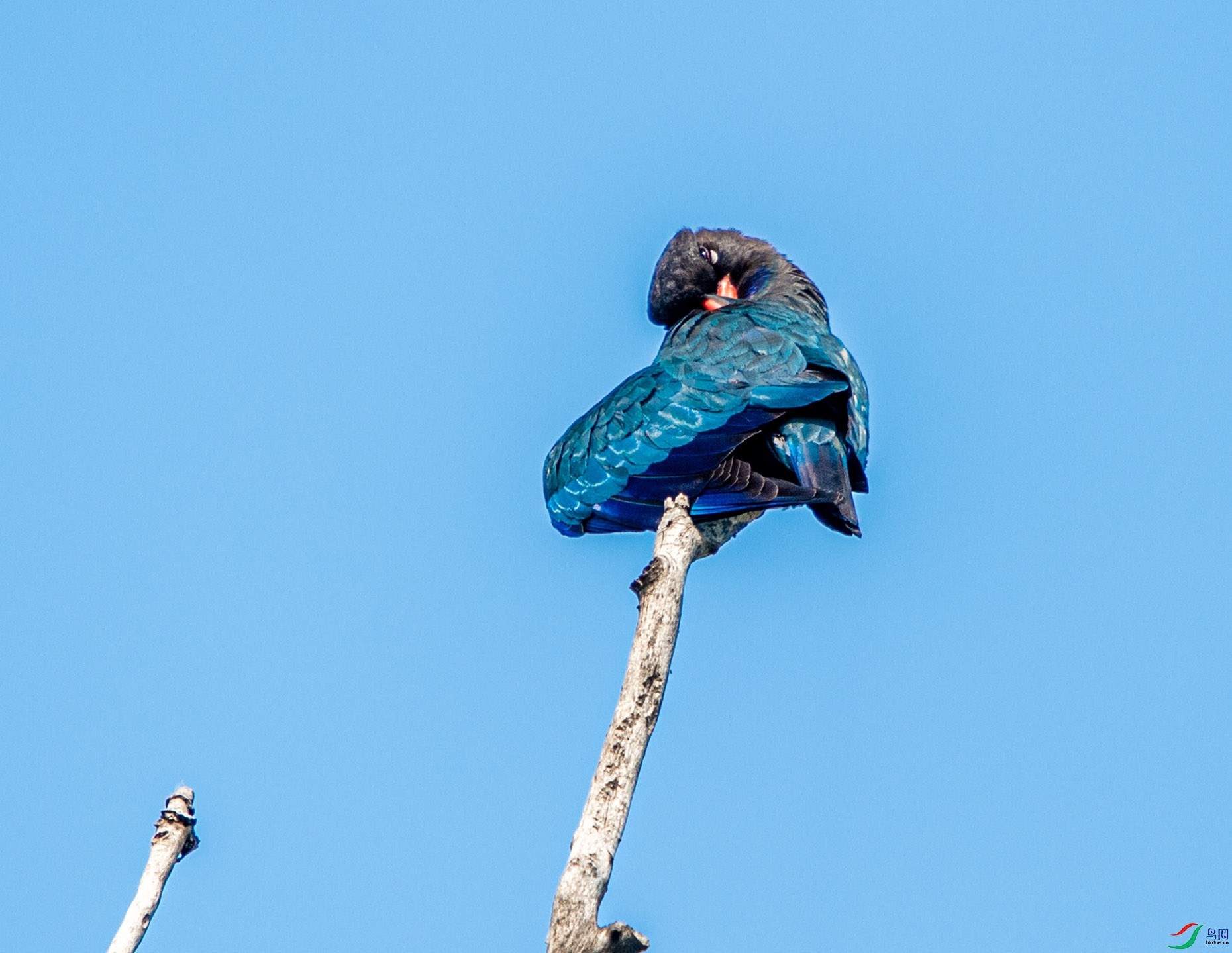 DSC_2121 --��ϴ���--2.jpg