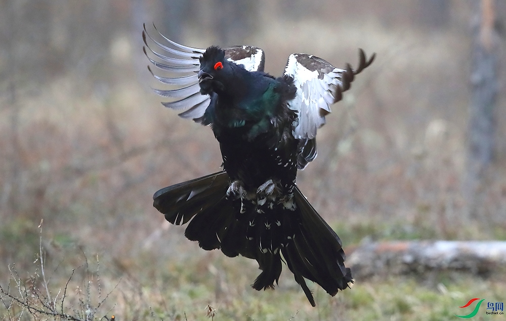 �����ɼ����� (2).JPG