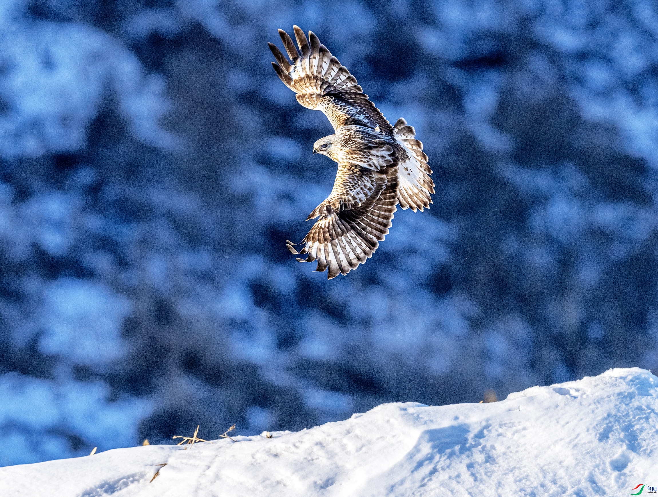 _DSC9912.jpgë��