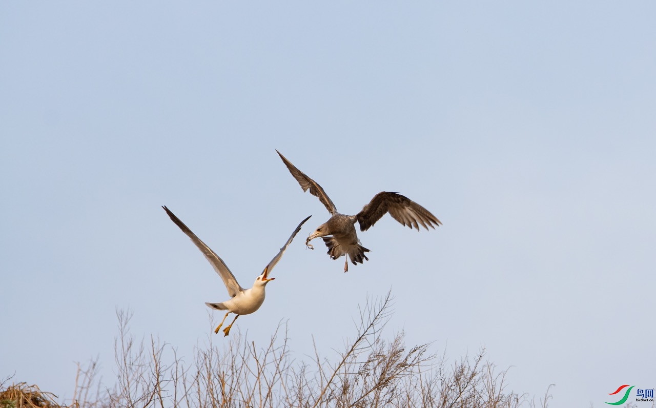 ��Ϯ����Ÿ��