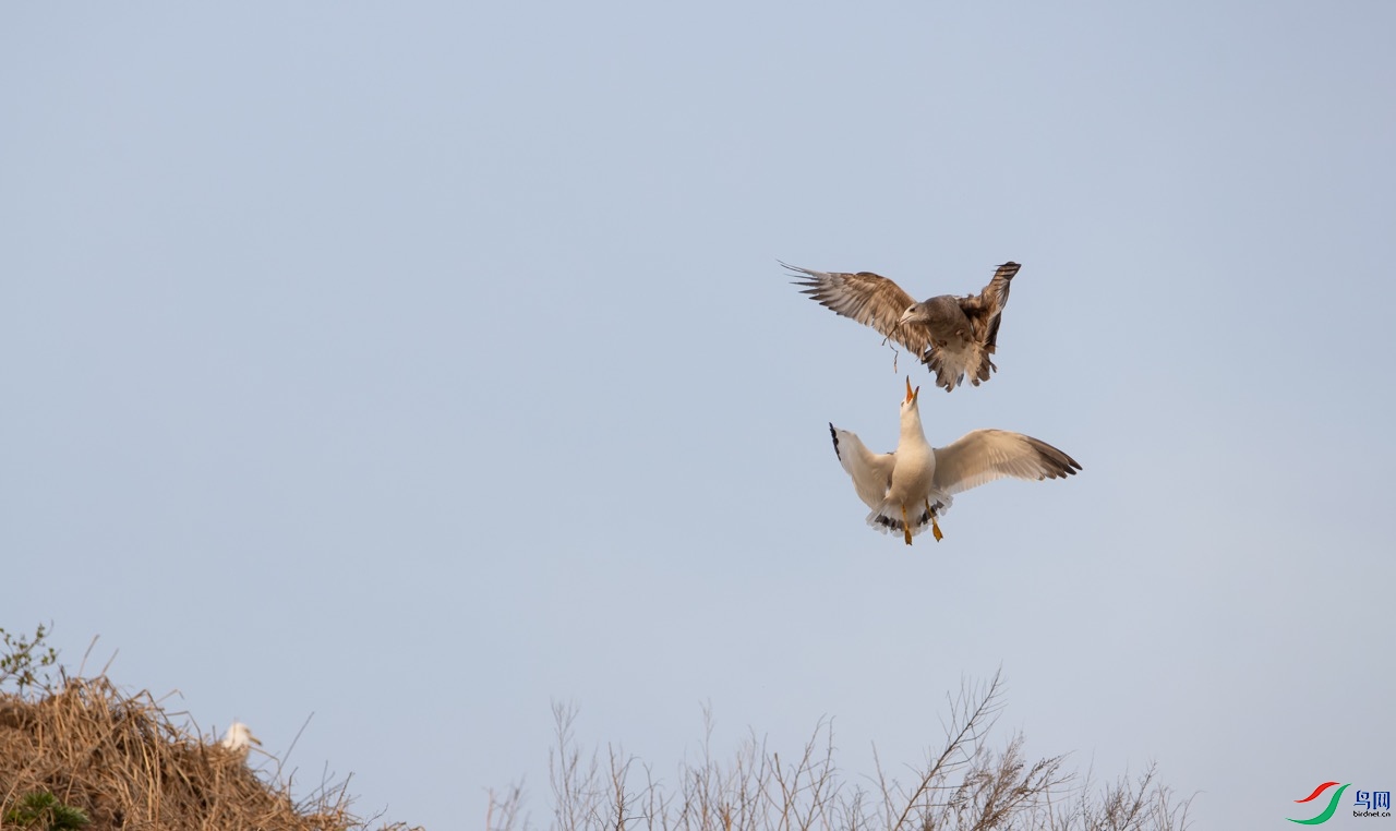 ��Ϯ����Ÿ��