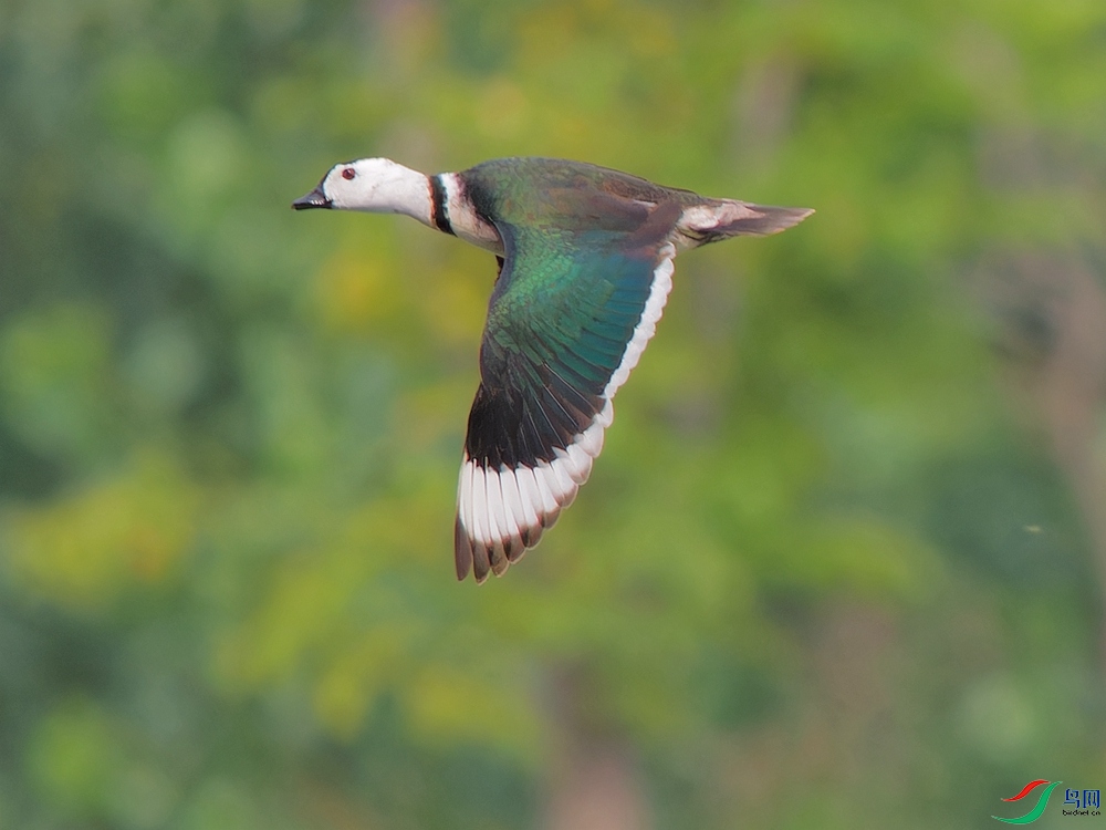 P6022085_DxO - ����.jpg