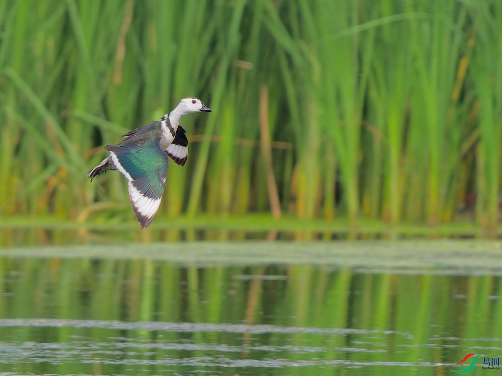 P6022122_DxO - ����.jpg