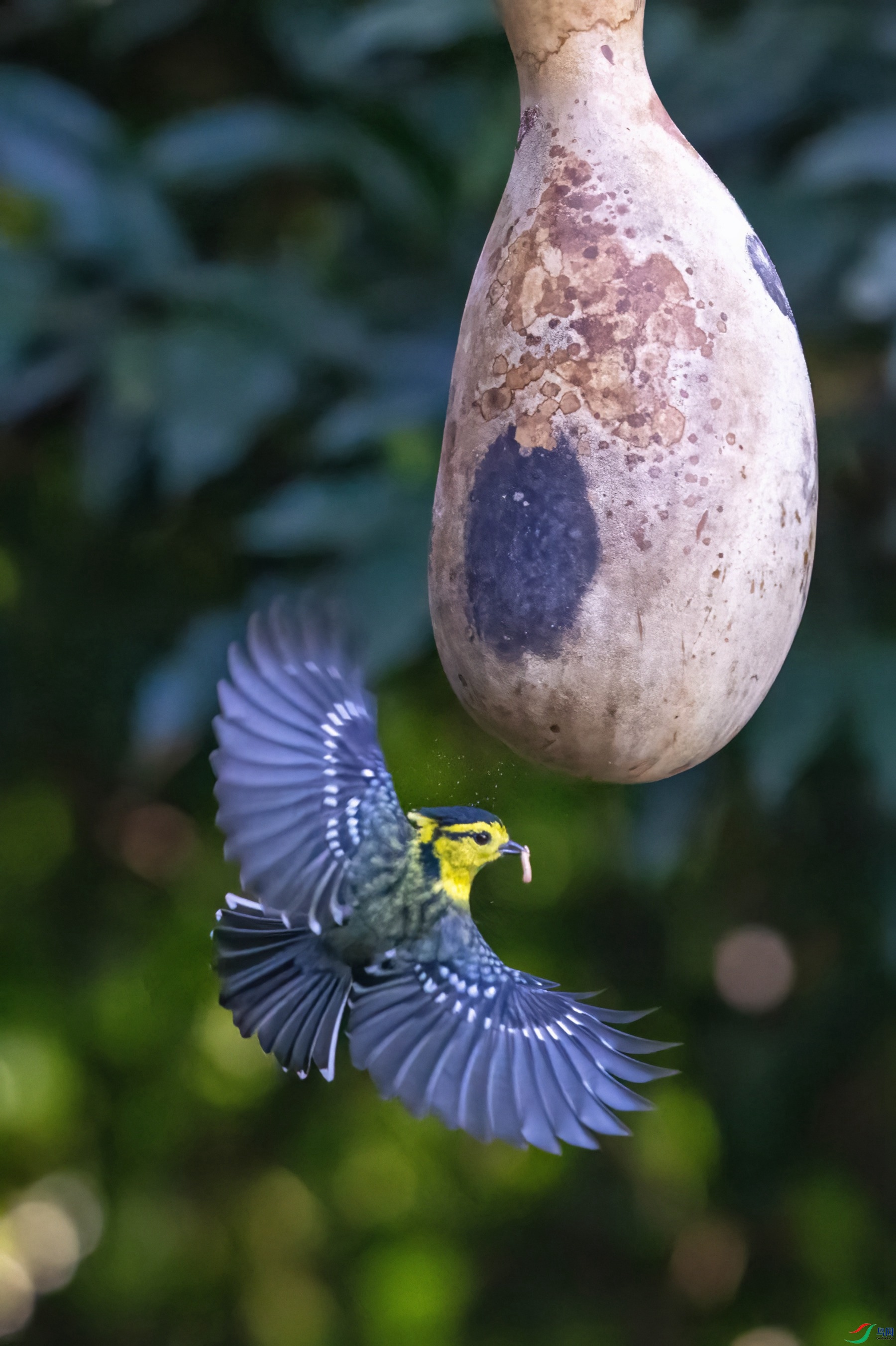 DSC03698-topaz-denoise.jpg