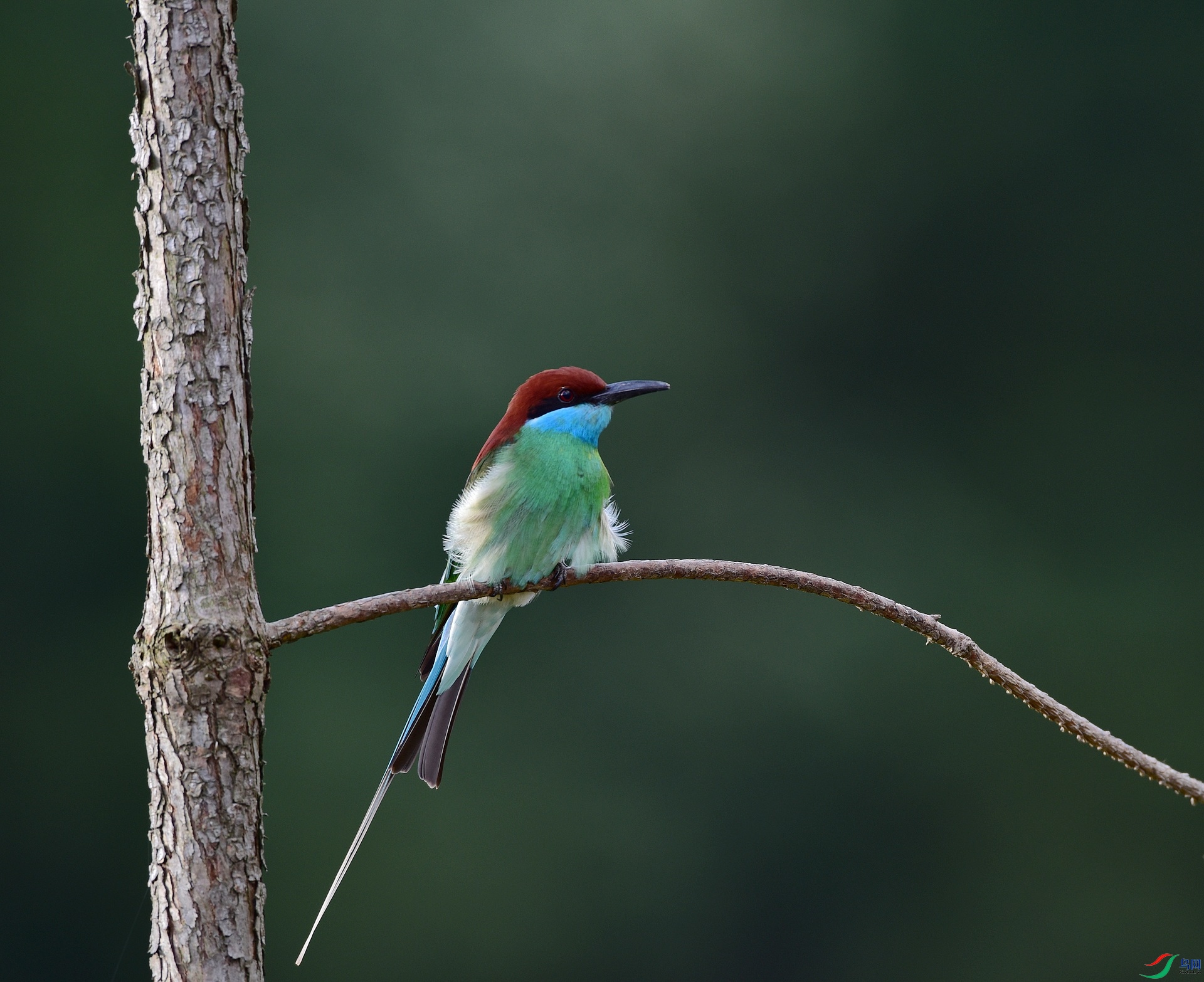 D8I_8106.jpg