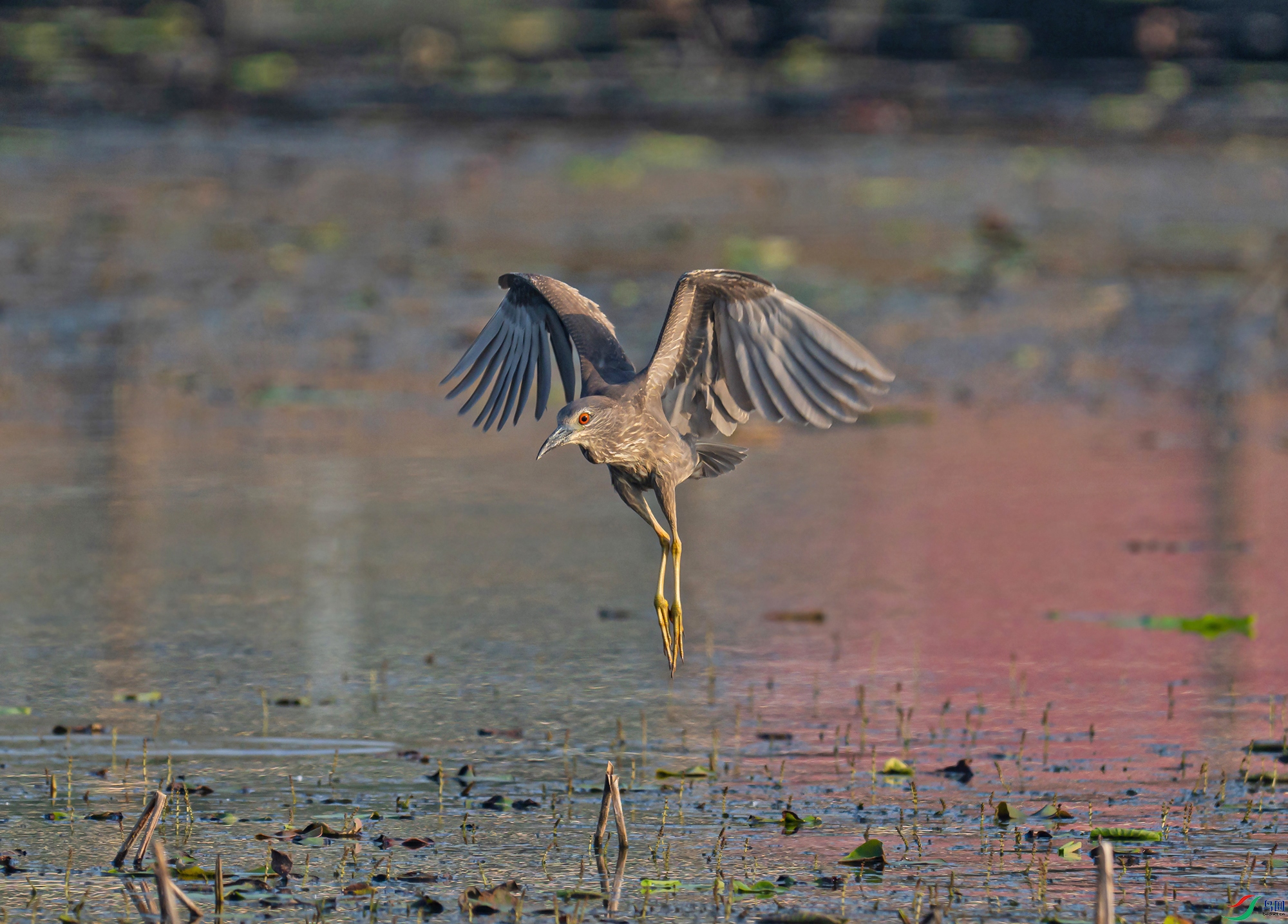 _DSC7770d3.jpg