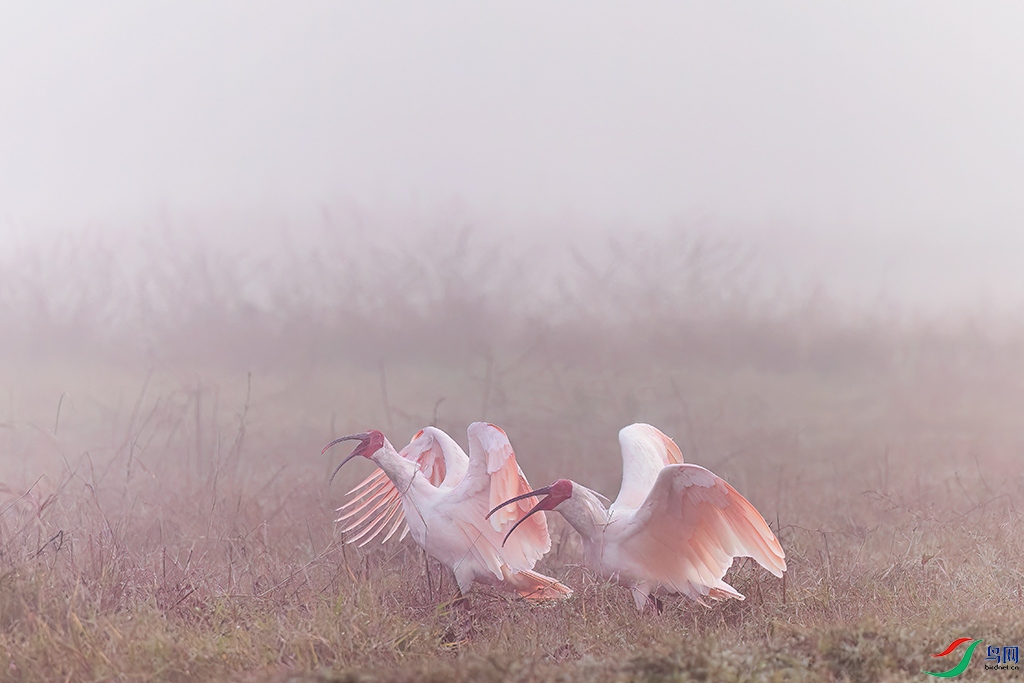 hnxyR221110 (642)_DxO.jpg