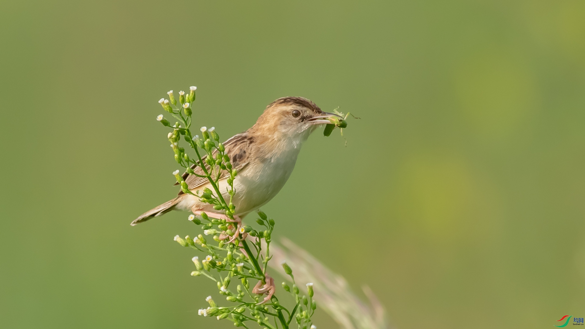 DSC_7272.jpg