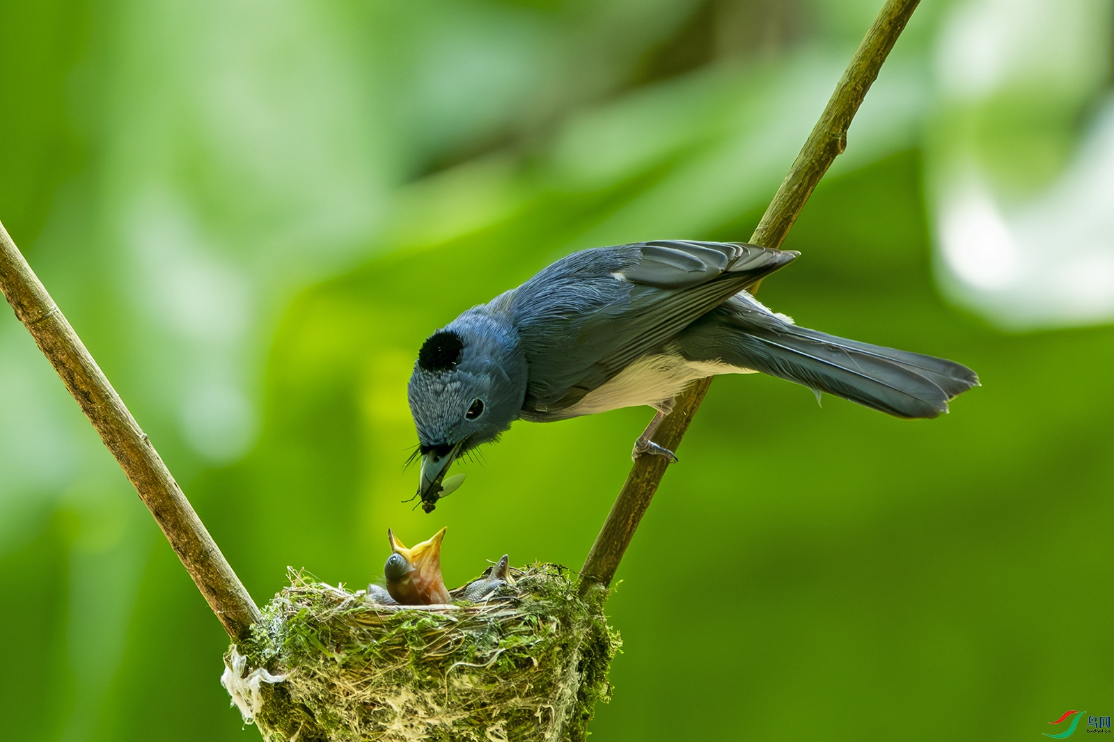 DSC_2114 0.jpg