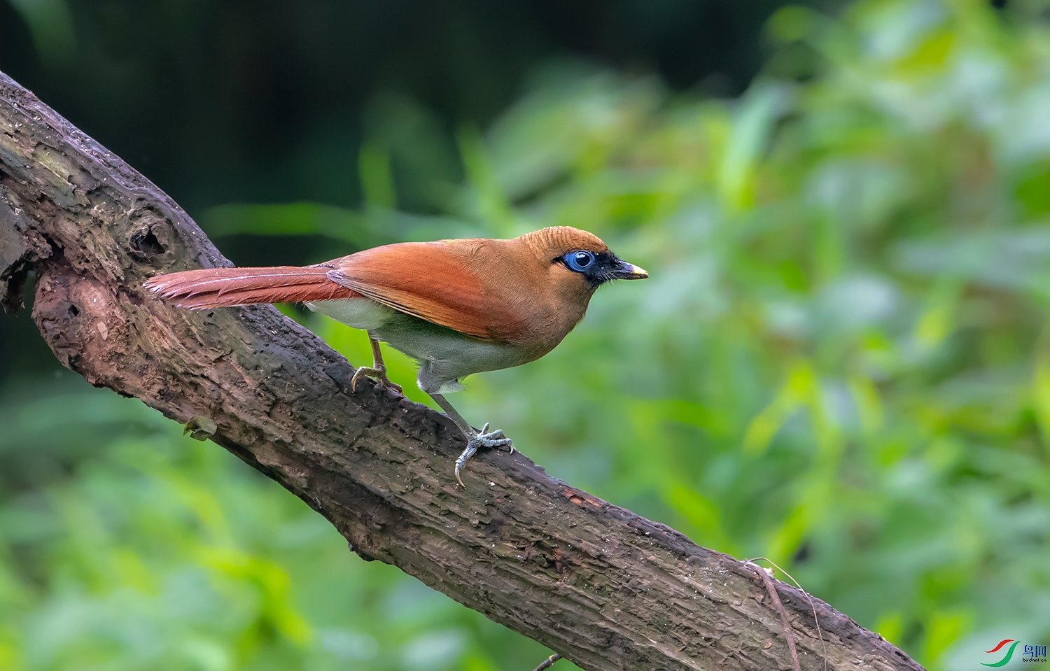 DSC_62381.jpg