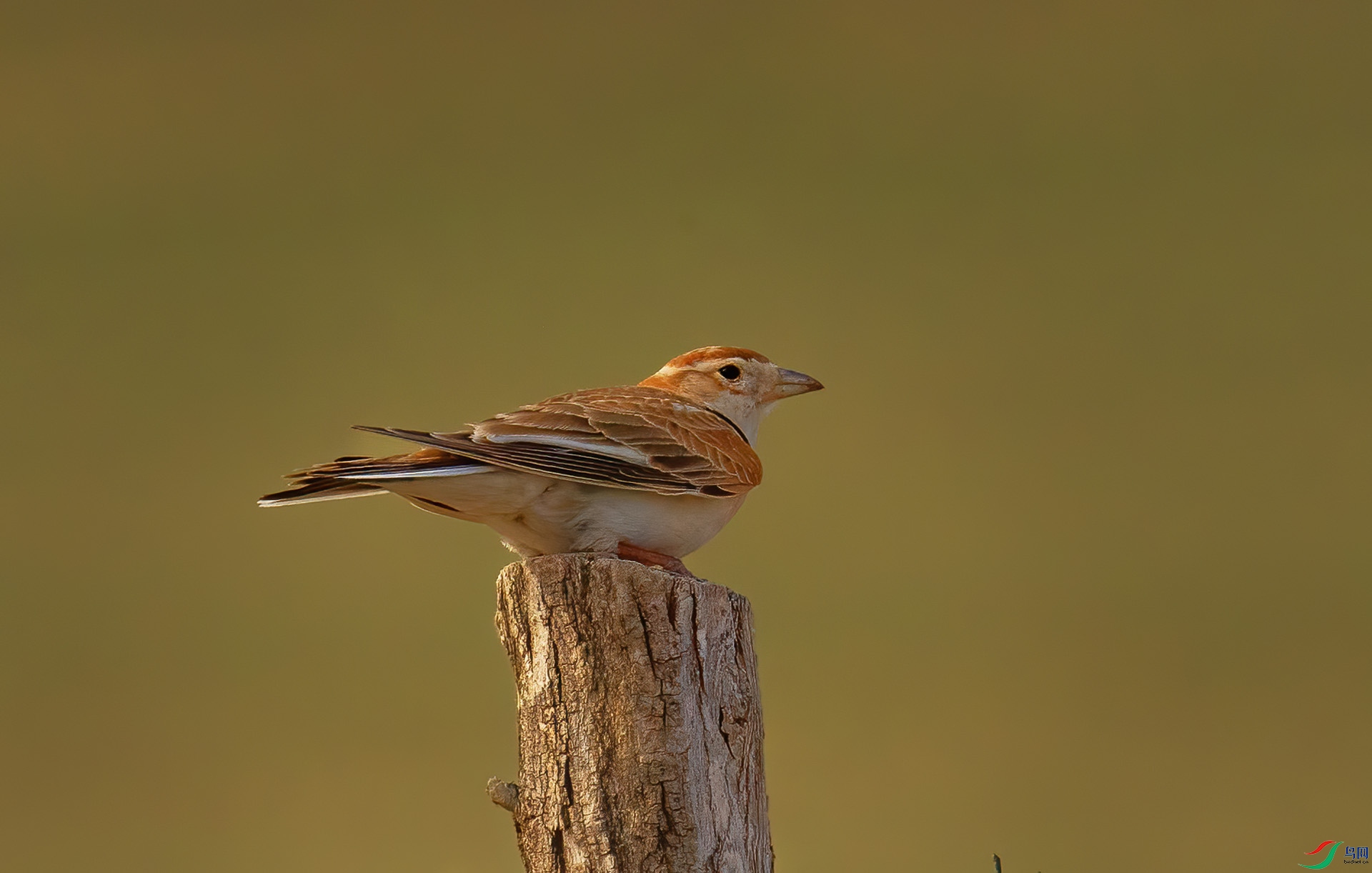 DSC_4070 -1.jpg