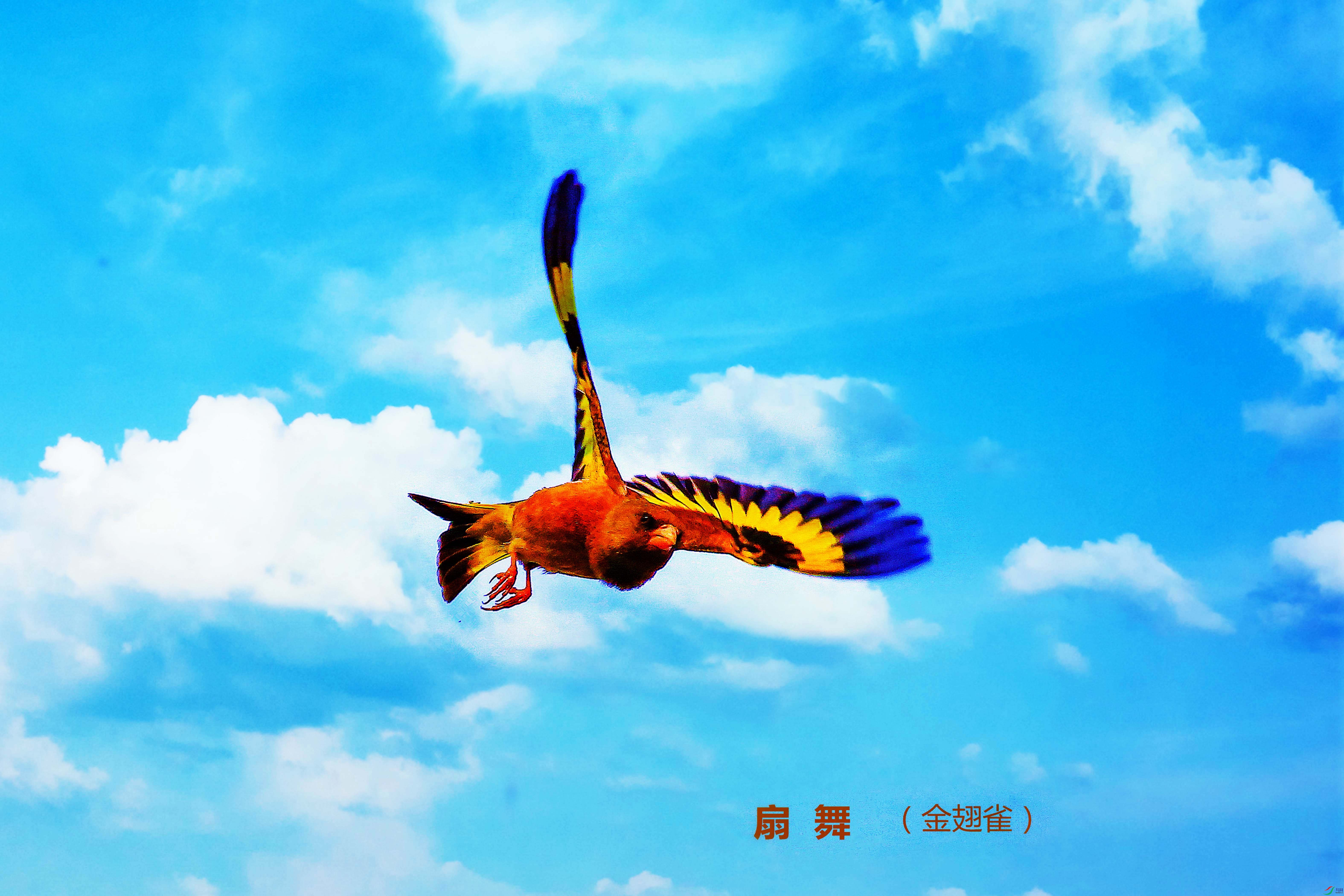 05���ȸ ������ �� (4) ���� 2.jpg