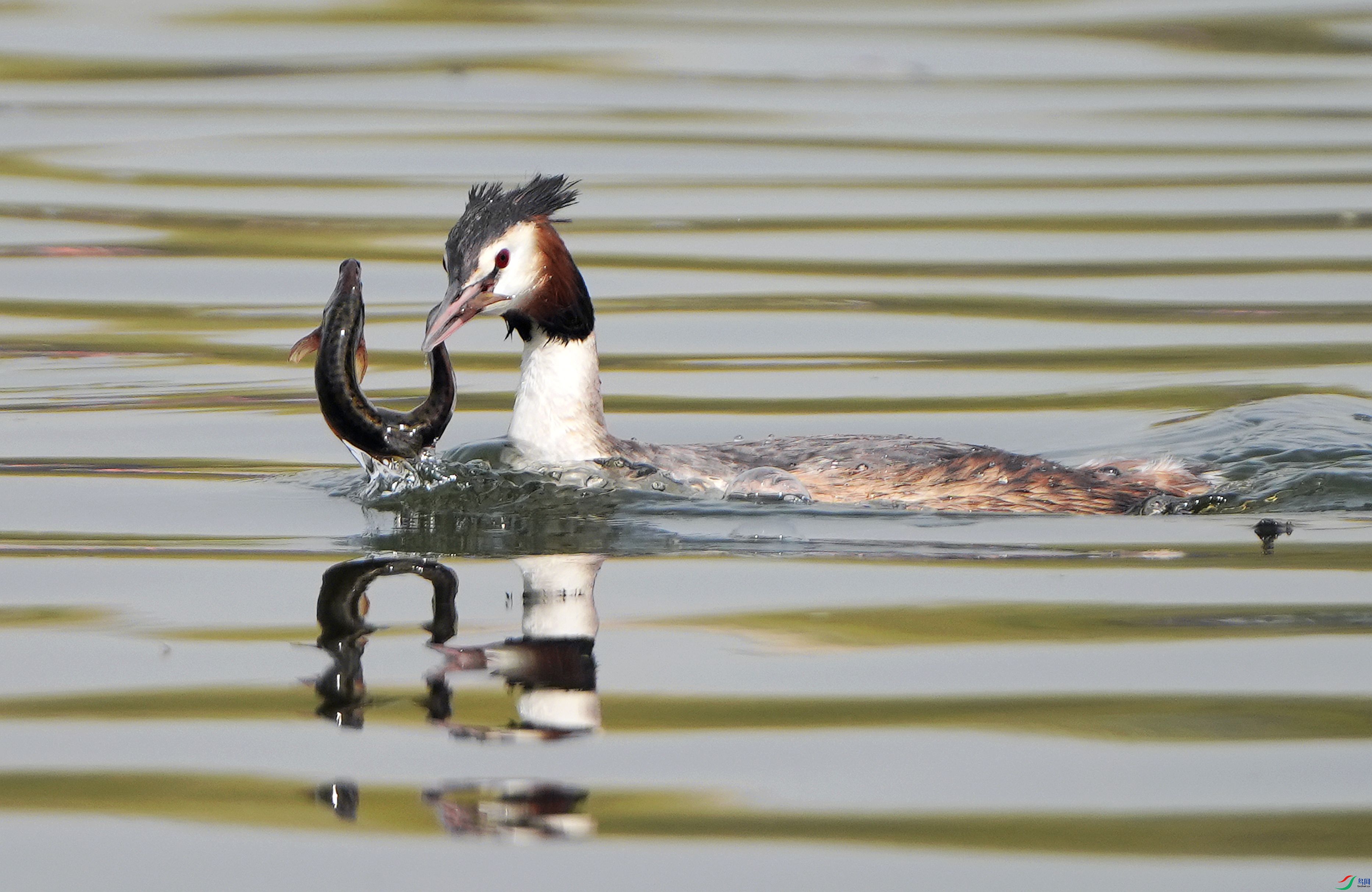 ����L��   ��ʴ�U״DSC01129_����.jpg