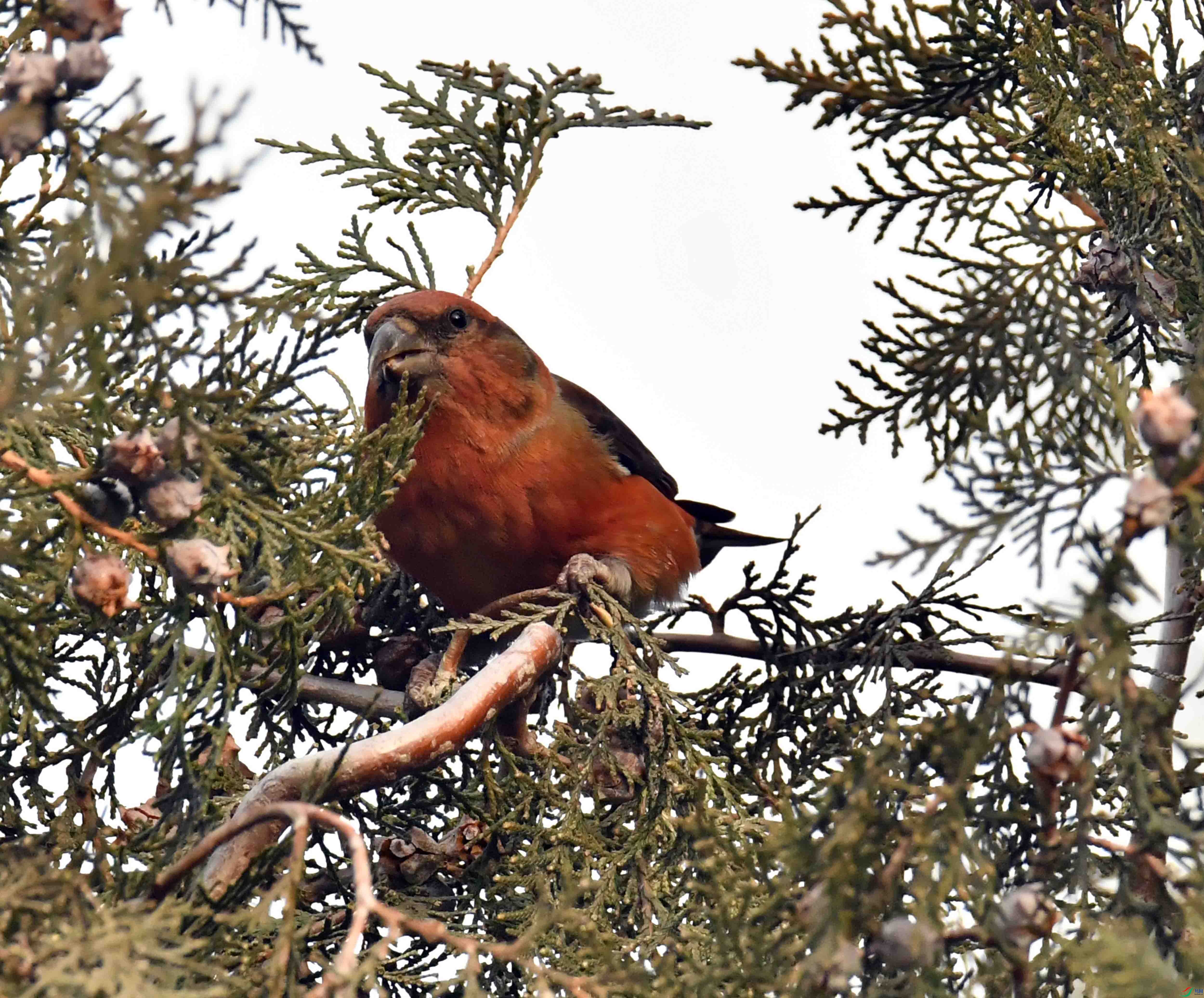 DSC_5037.JPG