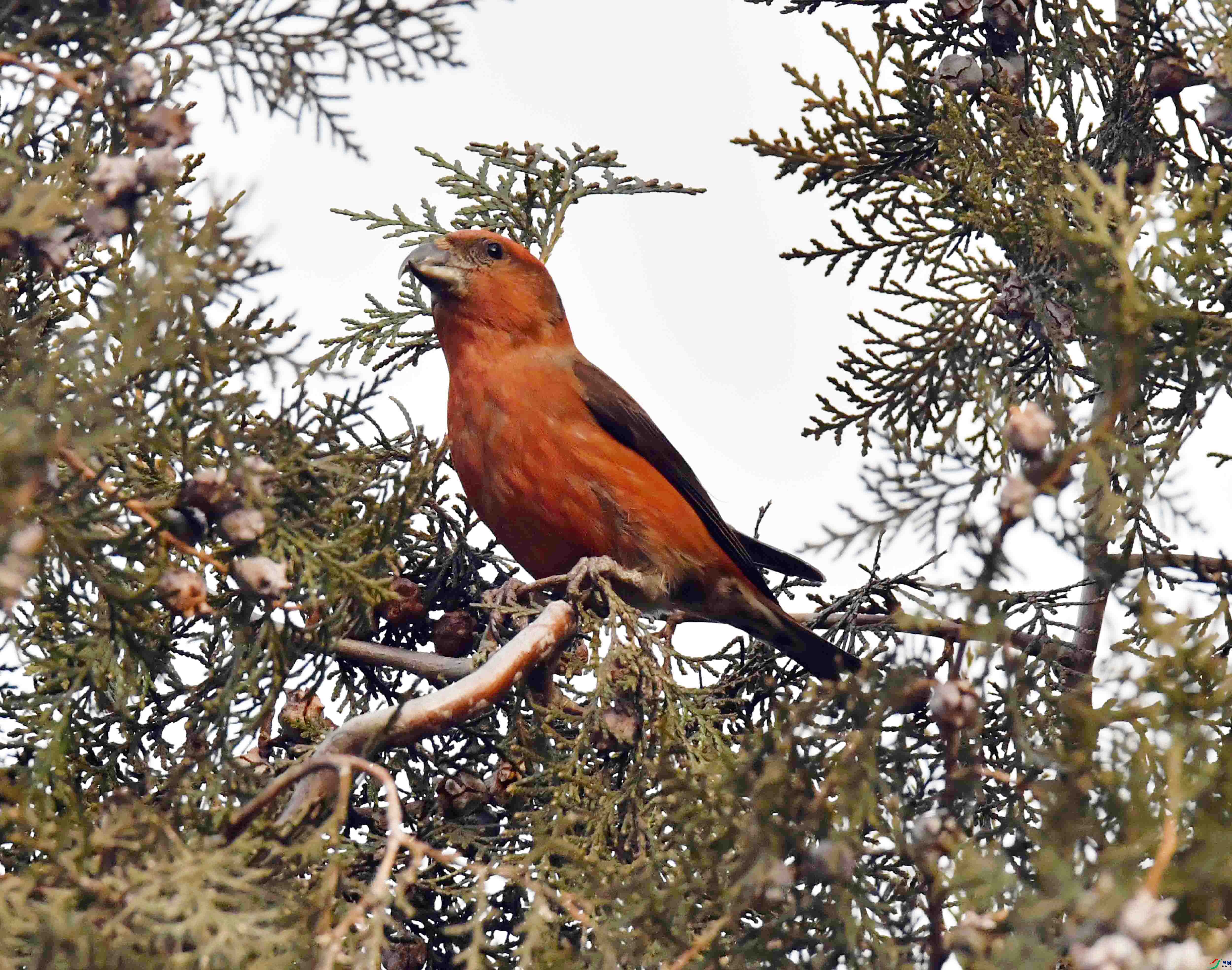 DSC_5044.JPG